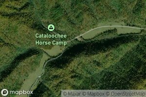 Rough Fork