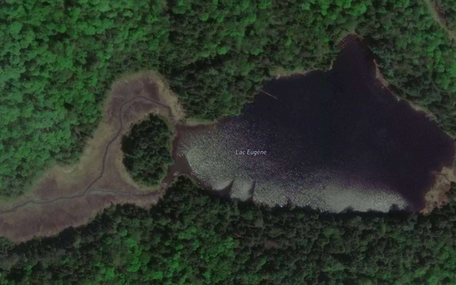 Satellite map of the Lac Eugene