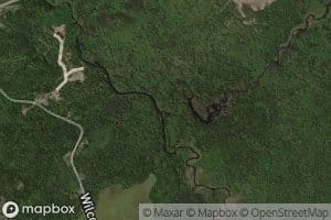 Finnegan Brook