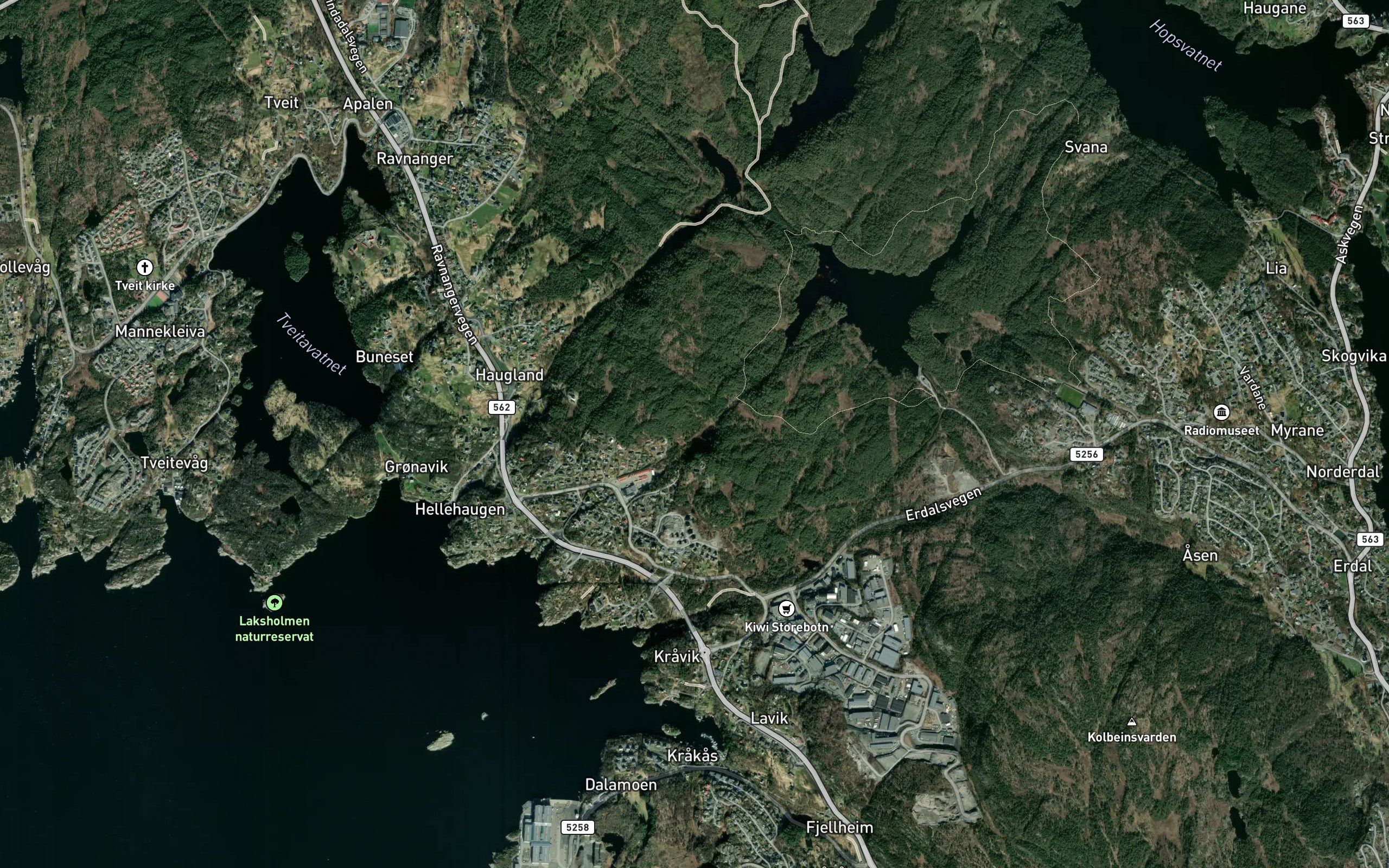 Fagerdalstjorna