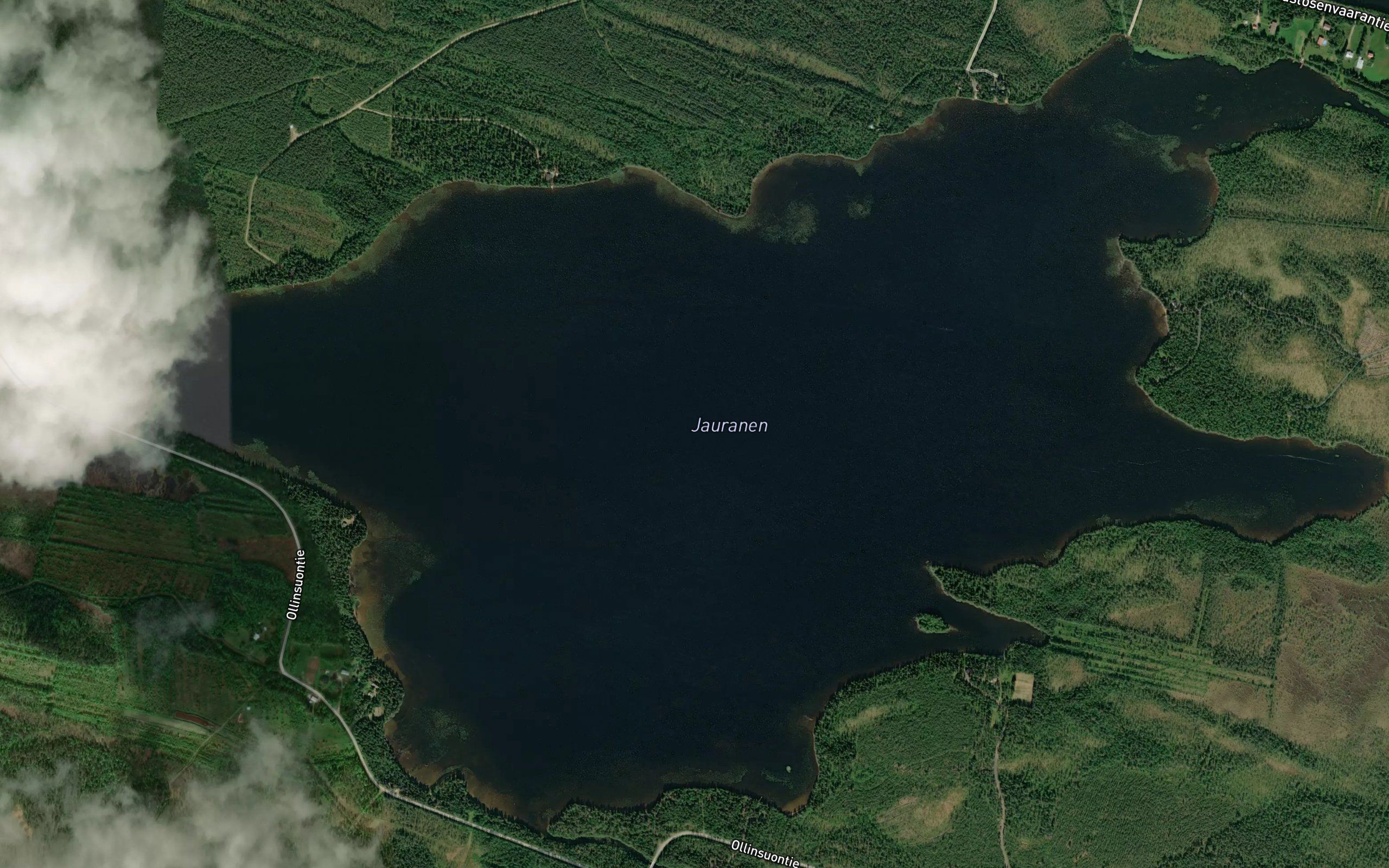 Jauranen