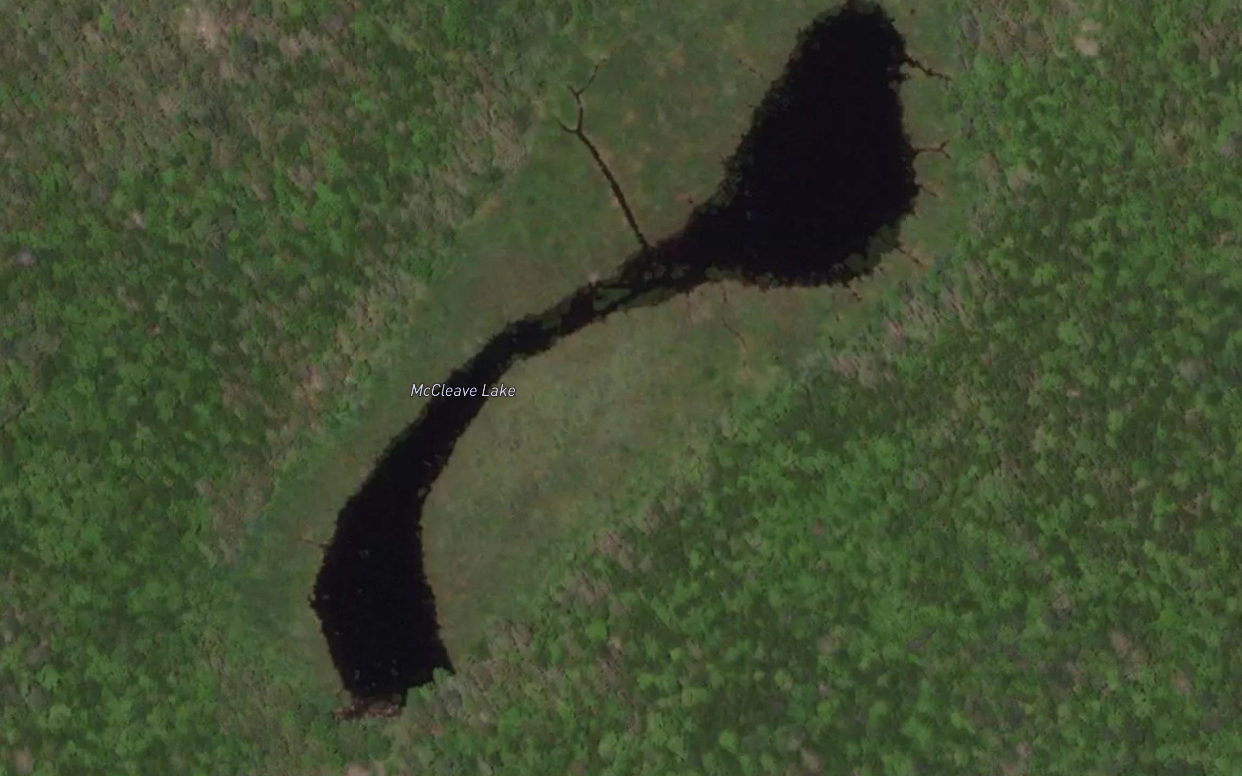 McCleave Lake