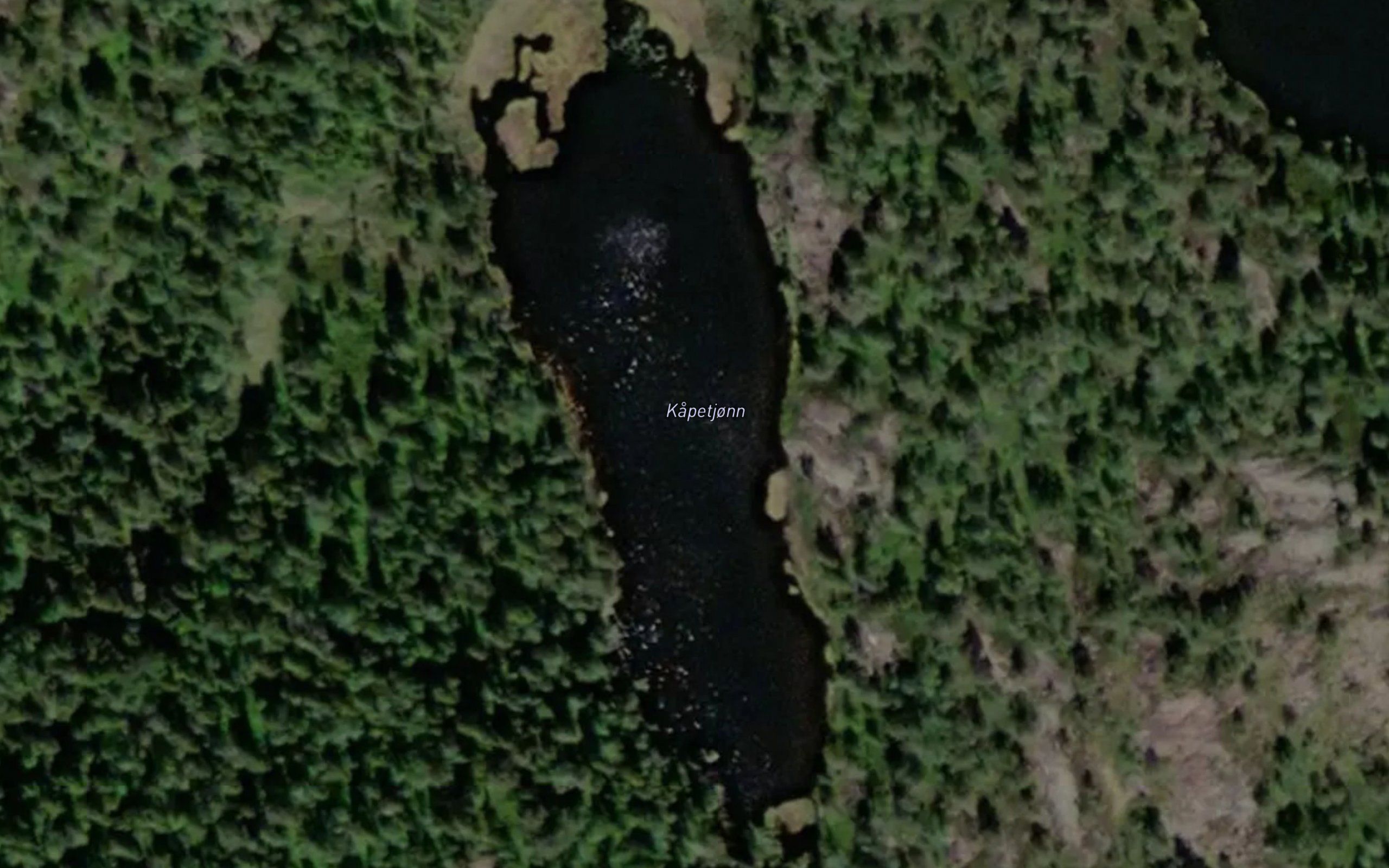 Kapetjonn