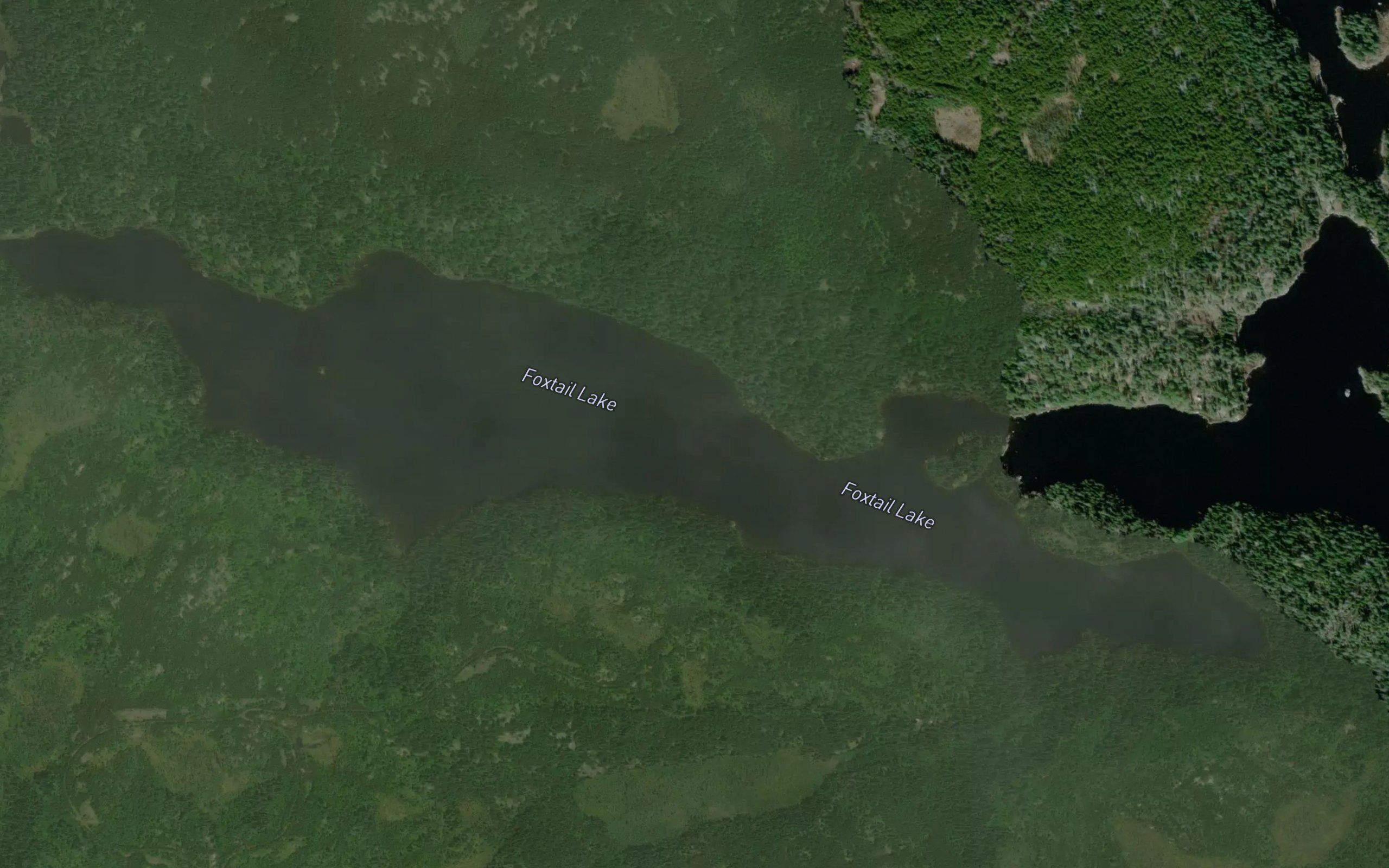 Foxtail Lake