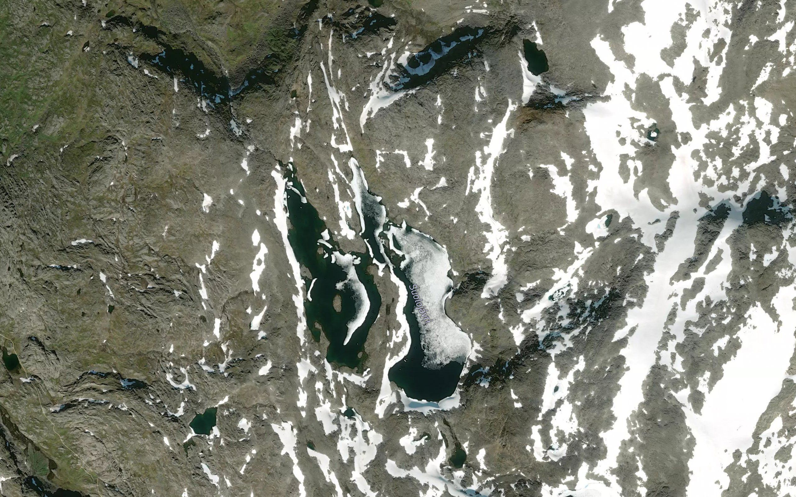 Suolajavri