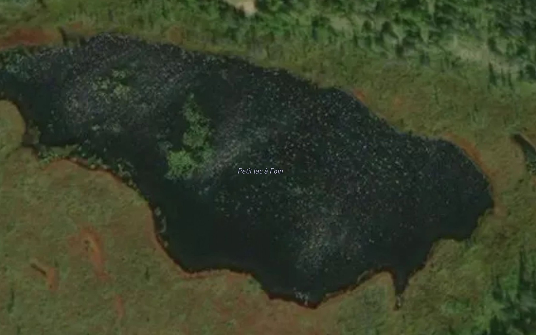 Satellite map of the Petit lac a Foin