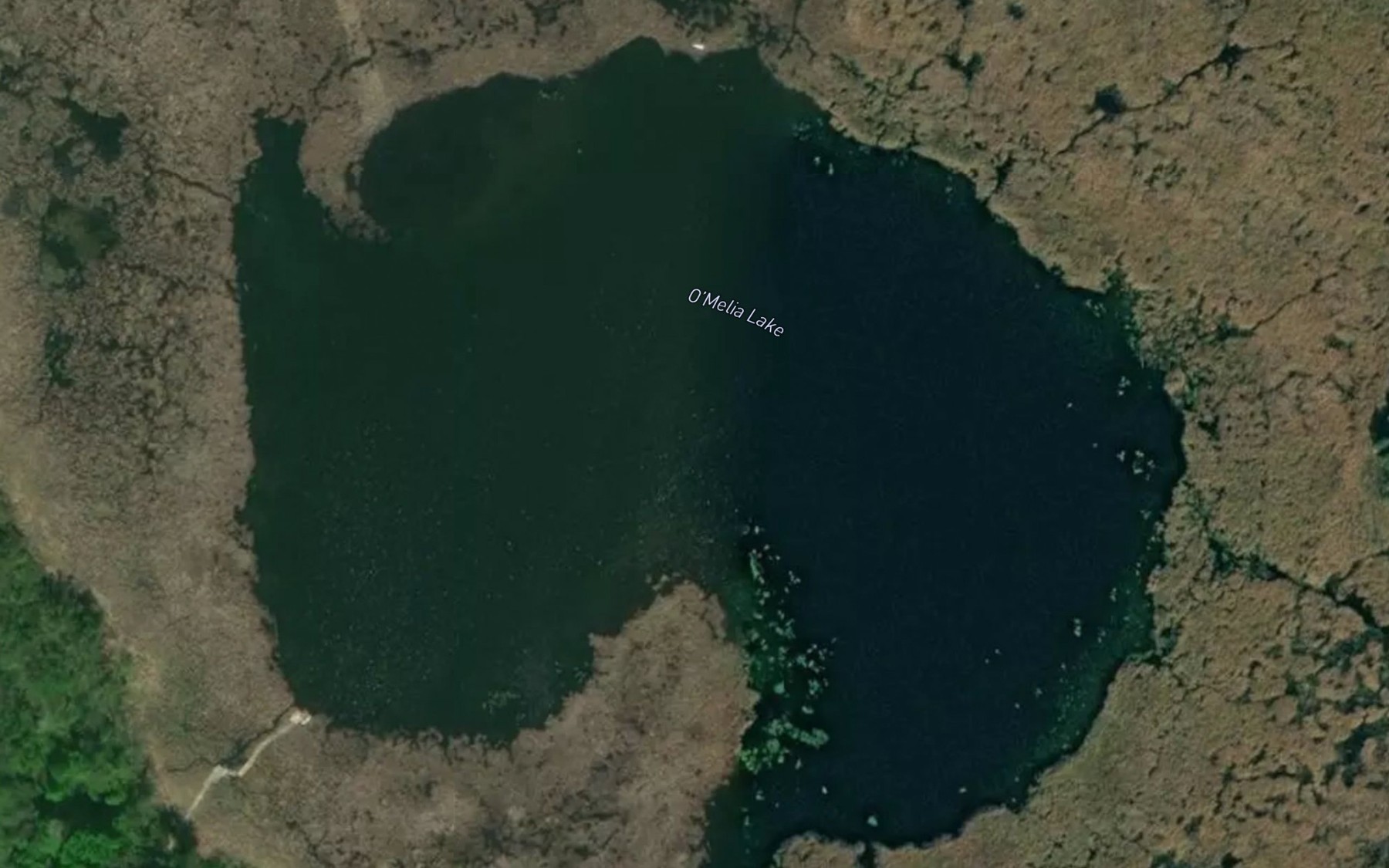 Satellite map of the O'Melia Lake
