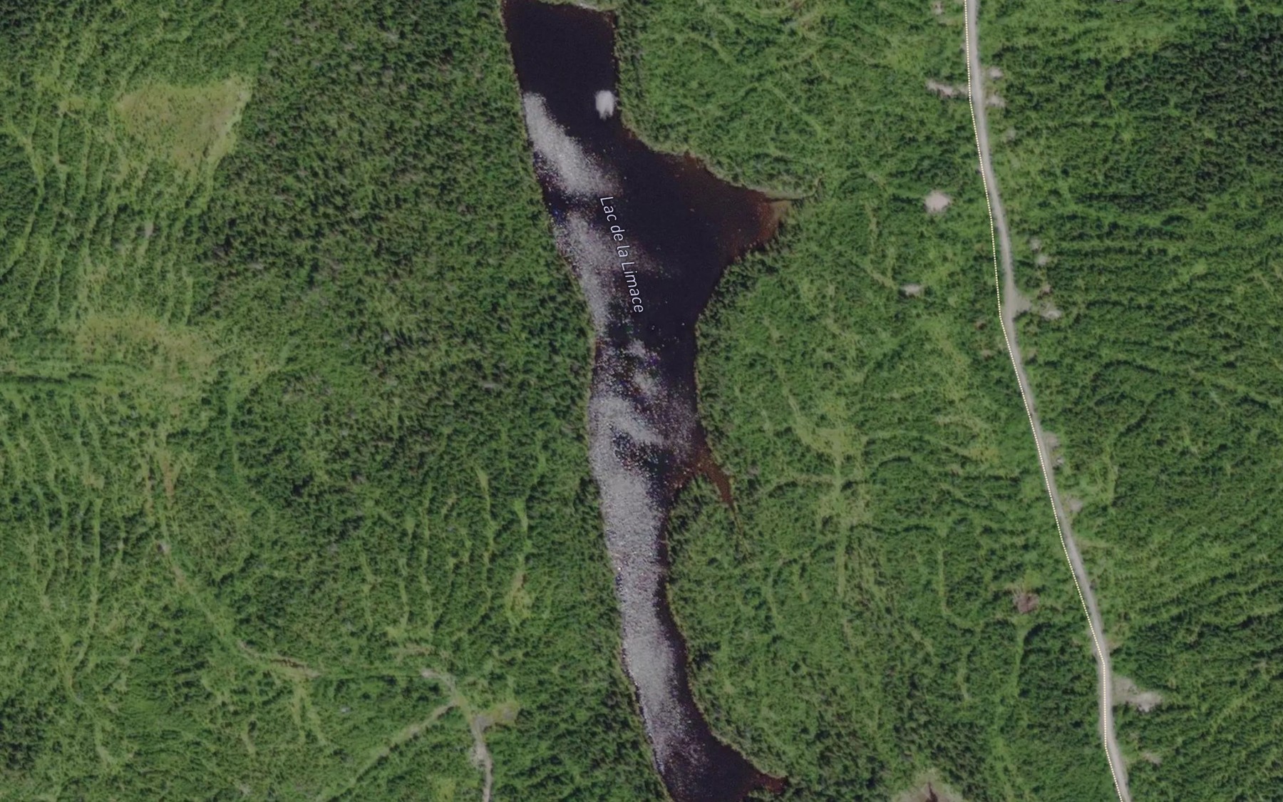 Satellite map of the Lac de la Limace