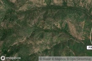 Right Fork Honeysuckle Spring