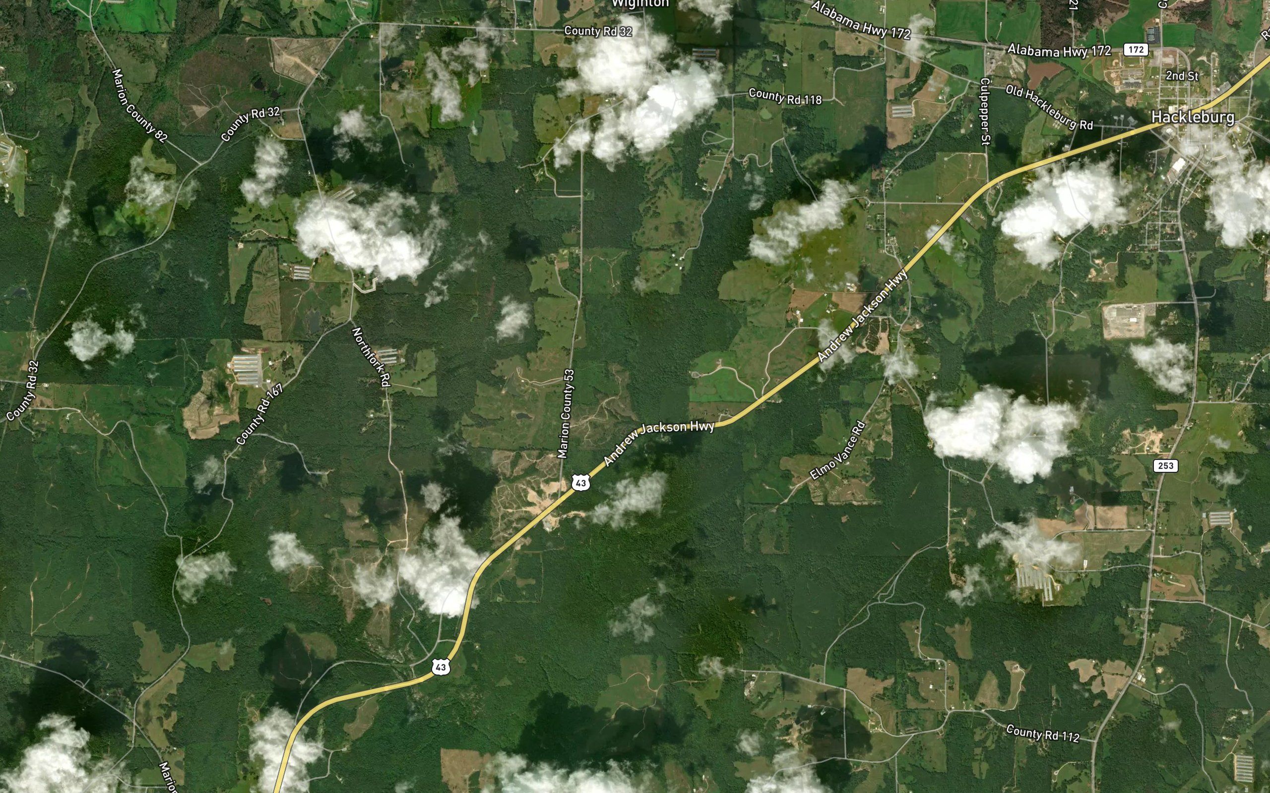 West Gowder Branch