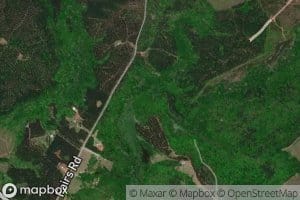 Reids Creek