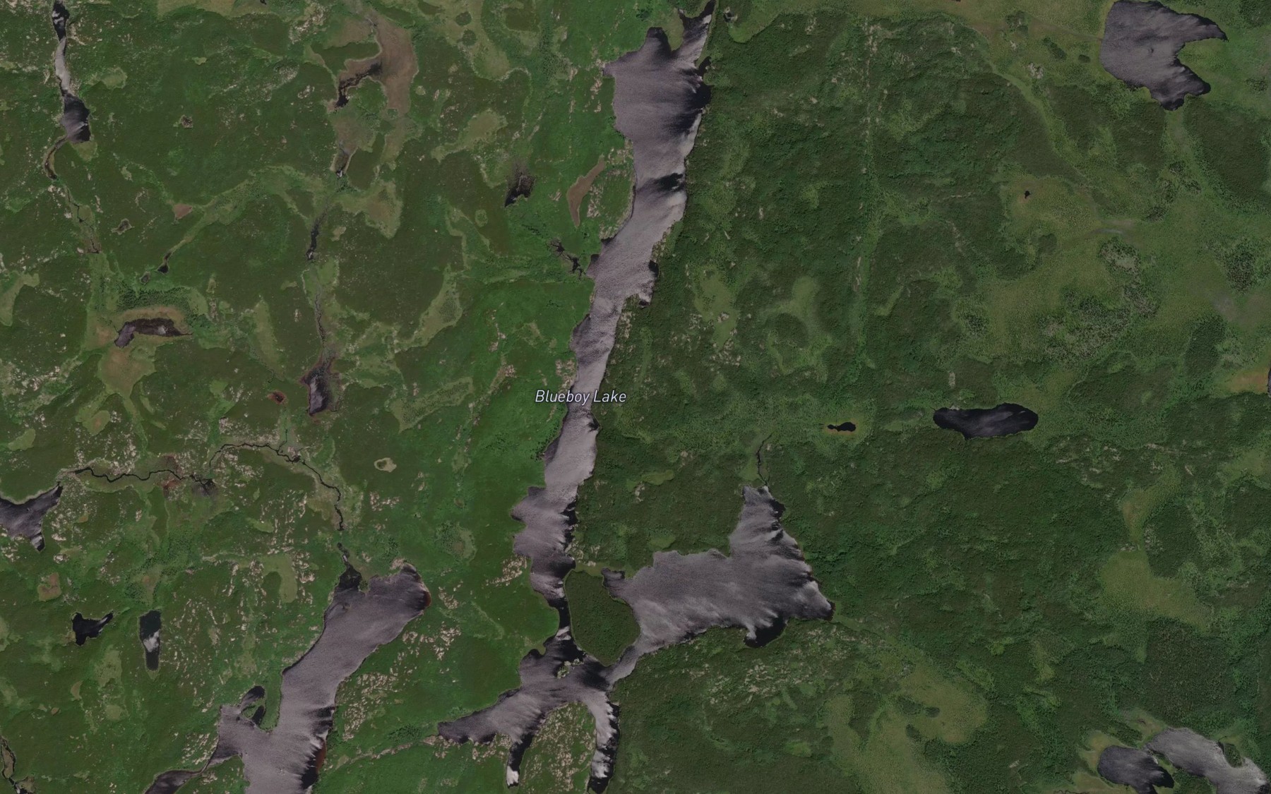 Satellite map of the Blueboy Lake