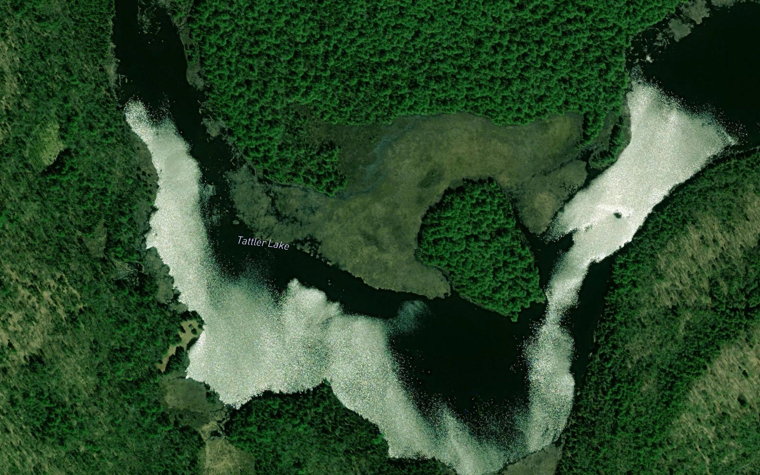 Tattler Lake