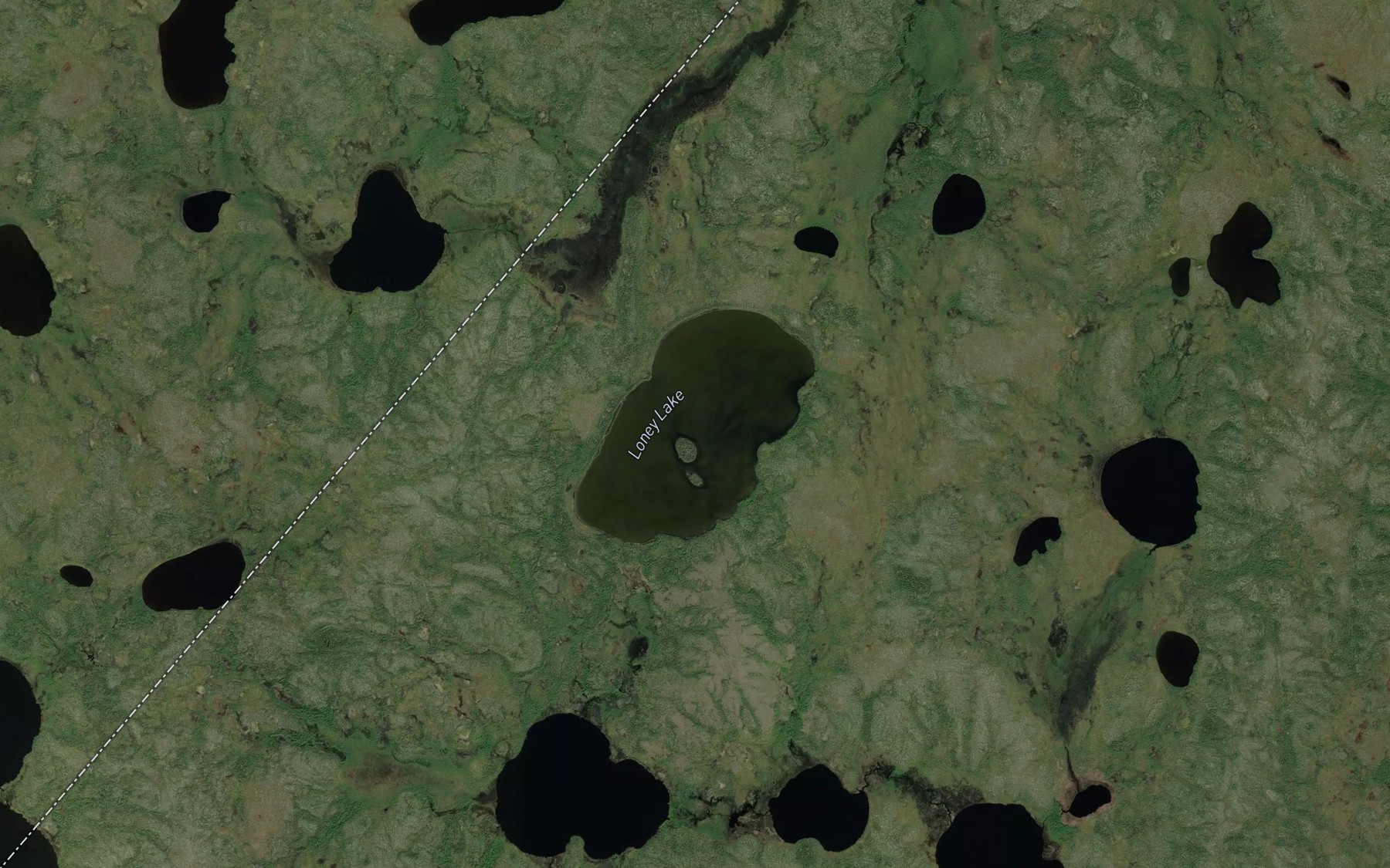Satellite map of the Loney Lake