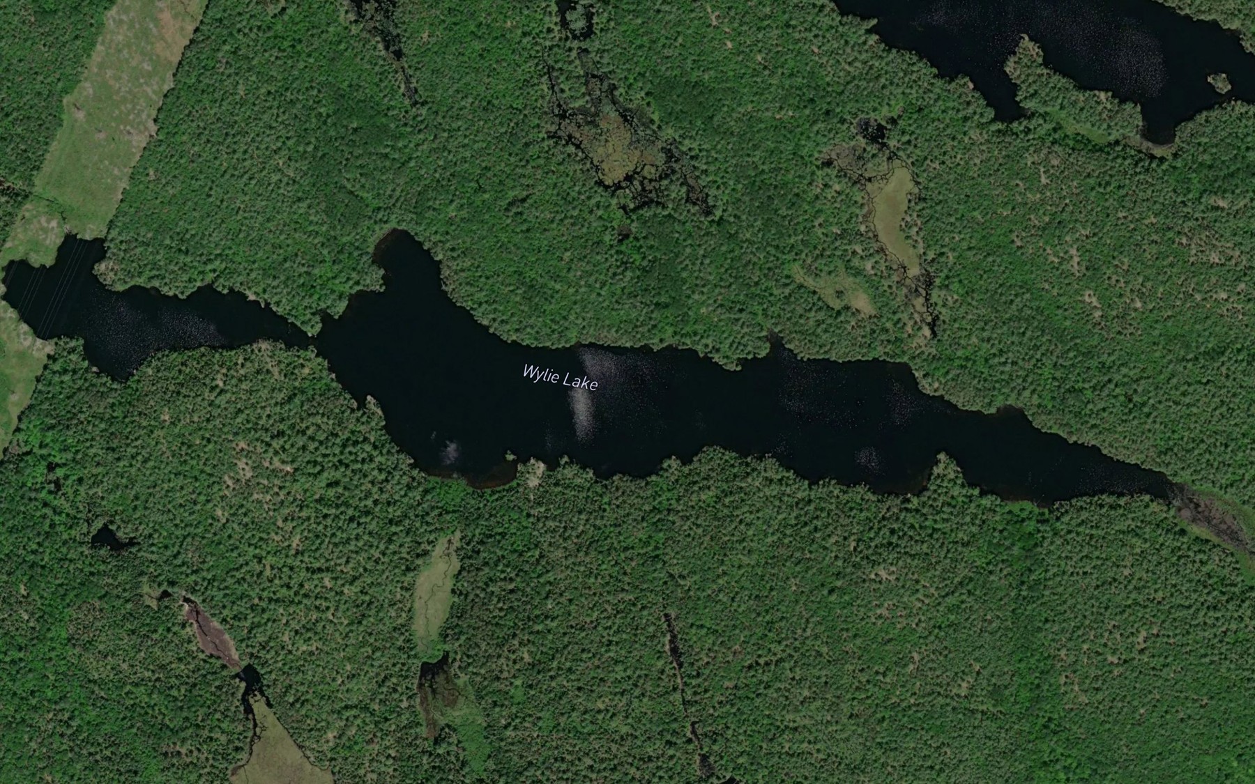Satellite map of the Wylie Lake