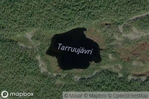 Tarruujavri