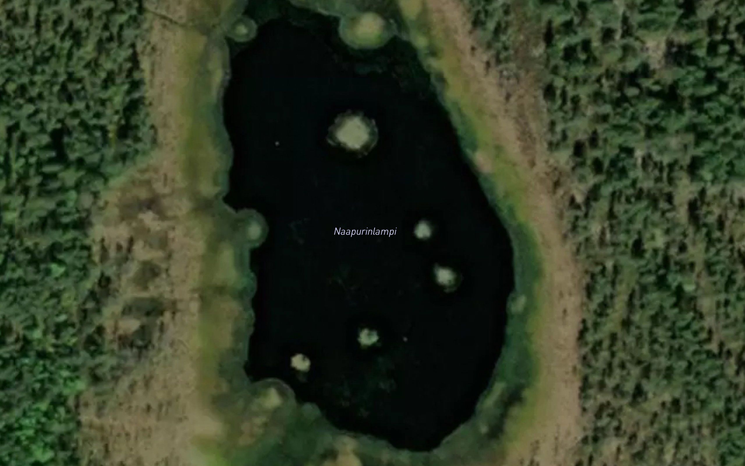 Naapurinlampi