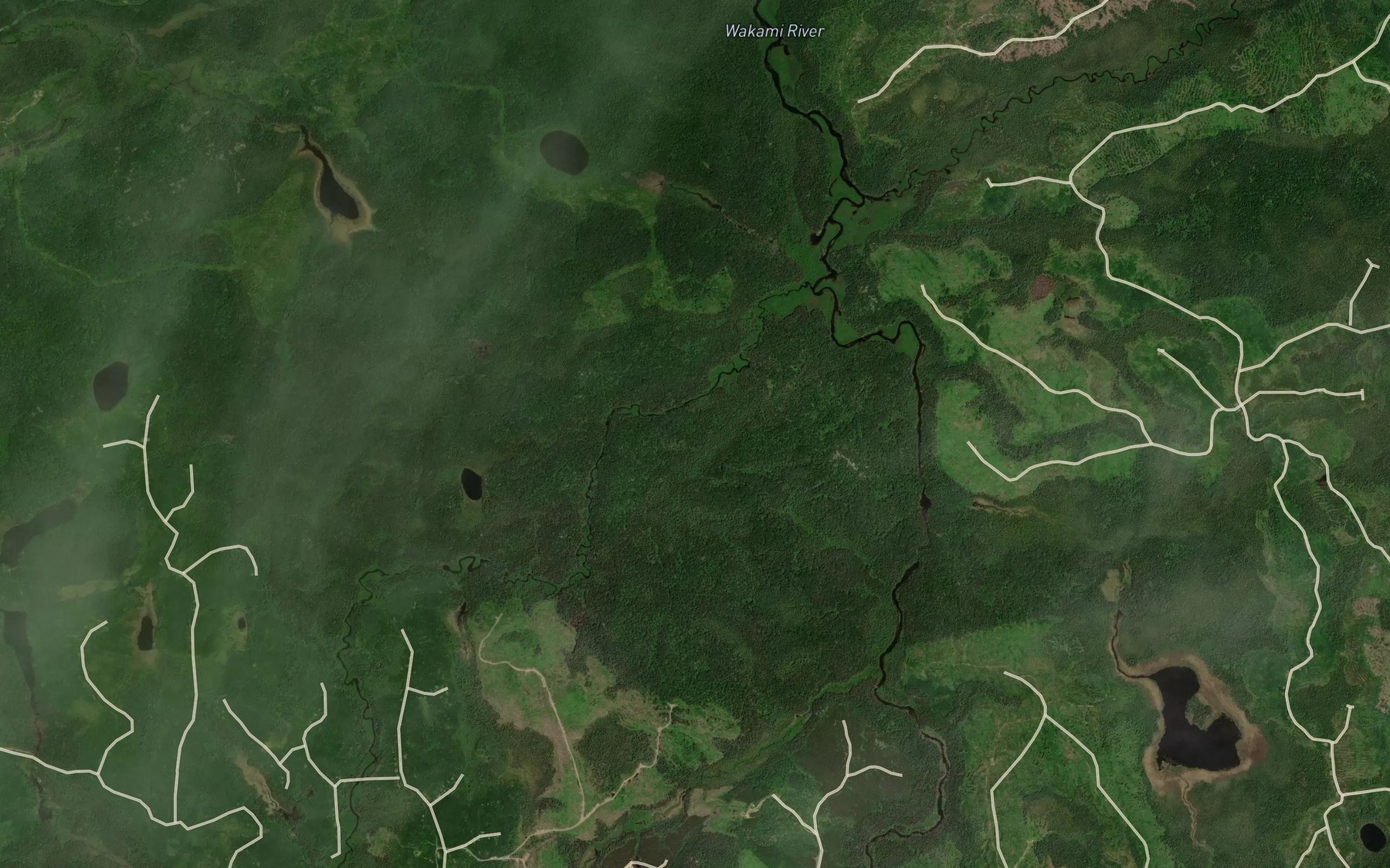 Satellite map of the Ridout River