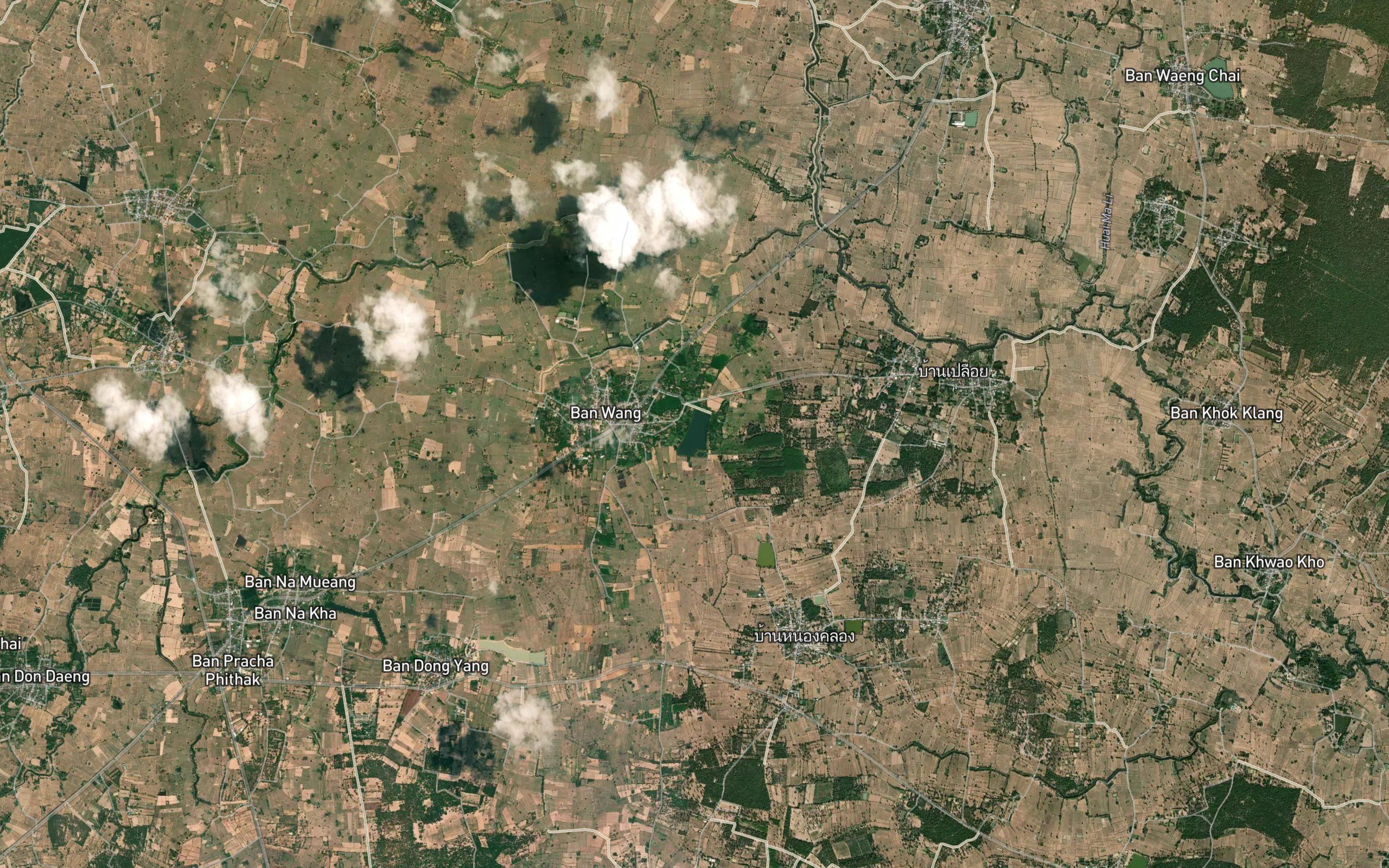Nong Yai
