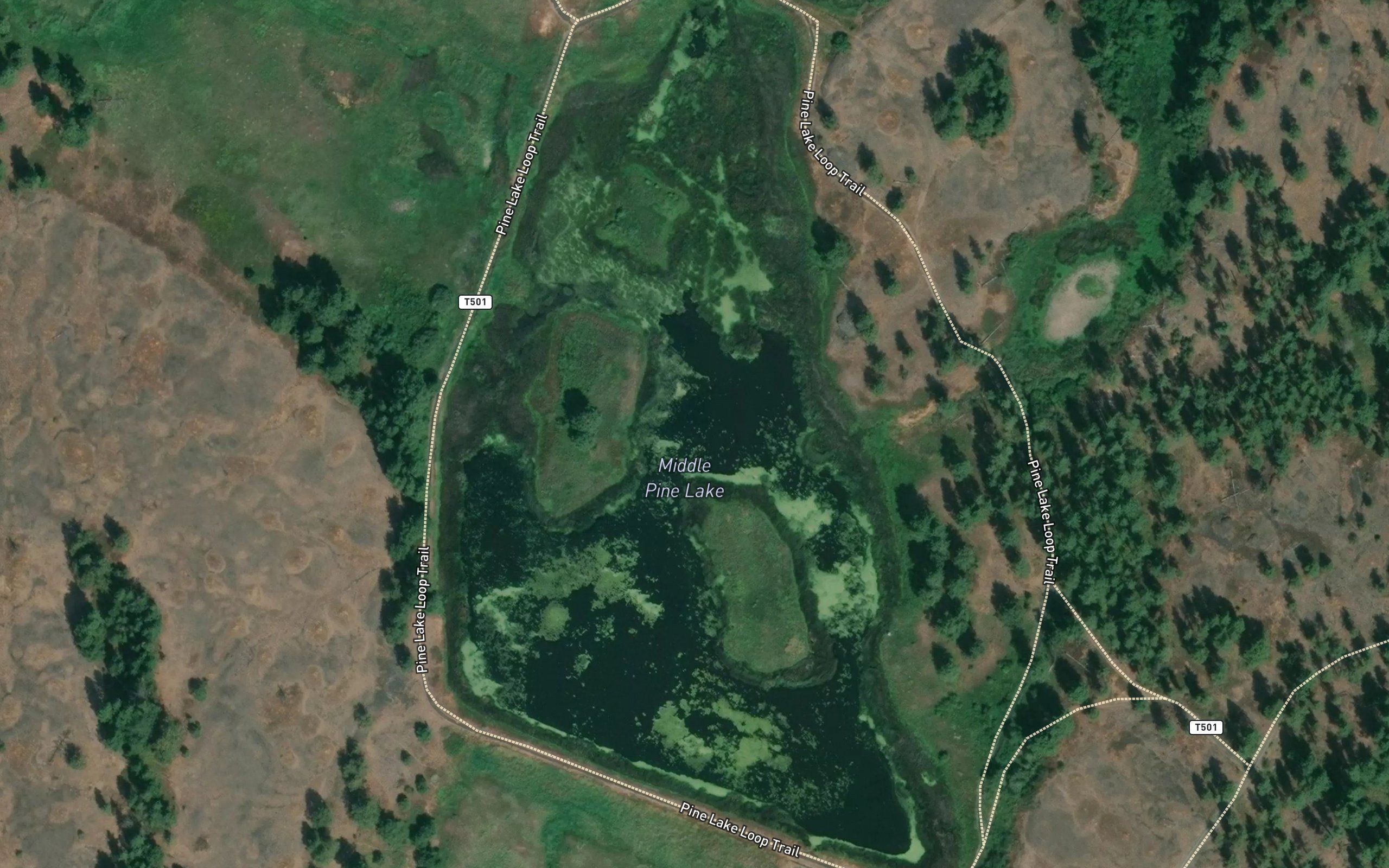 Middle Pine Lake