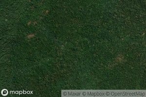 Igarape Braco Sul do Sao Gabriel