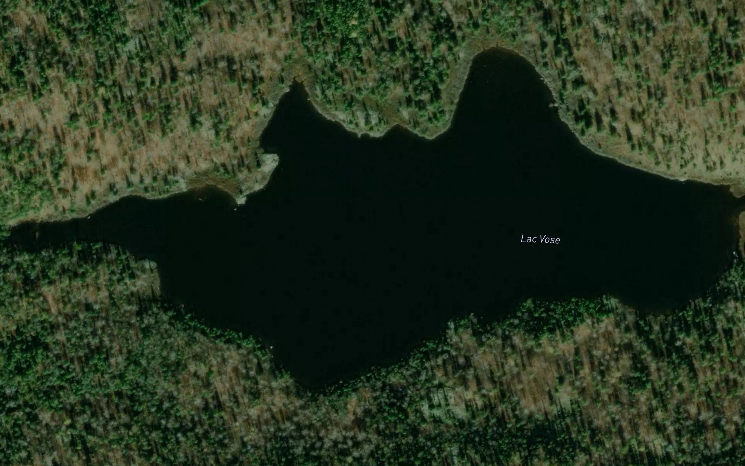 Lac Vose
