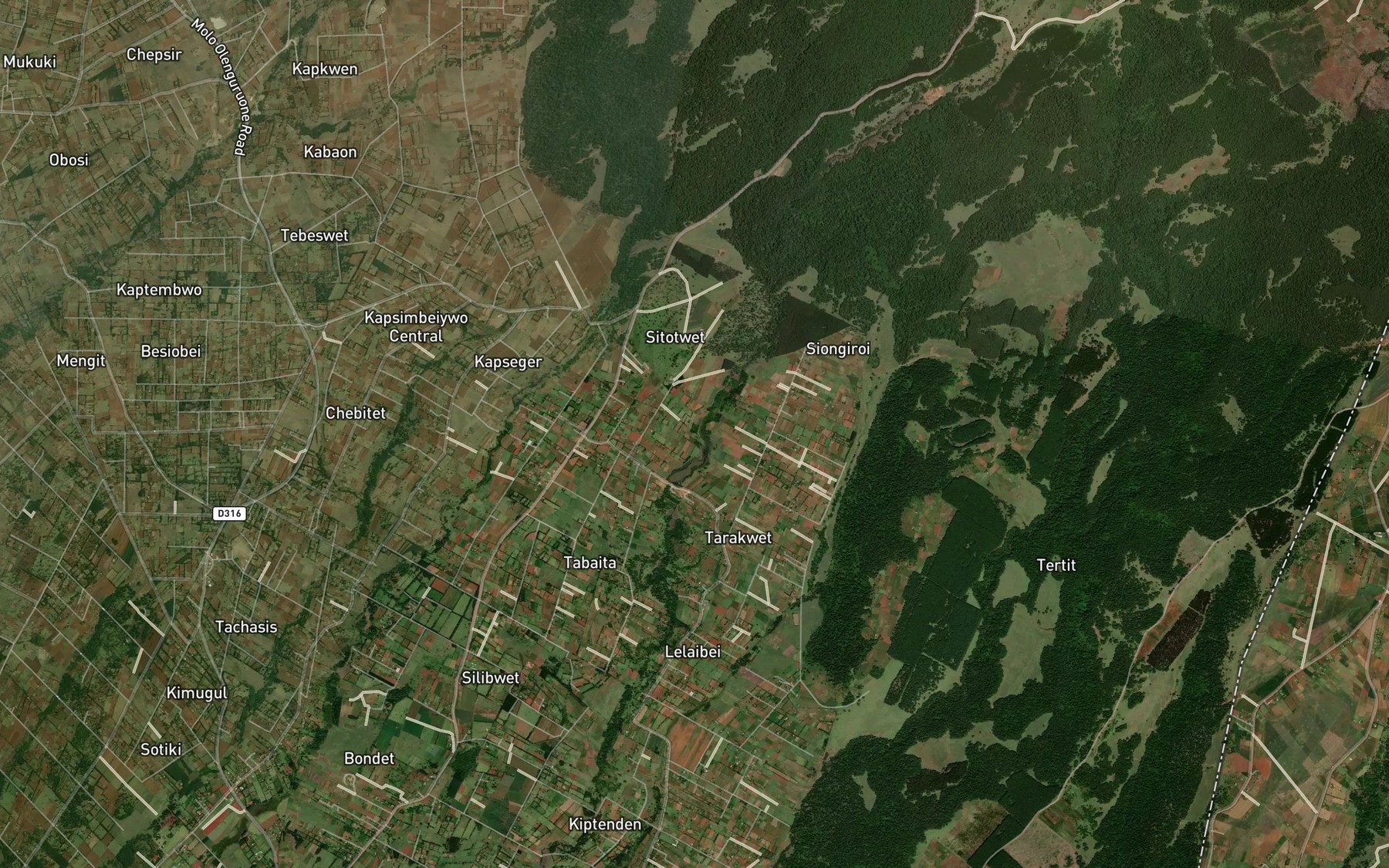 Satellite map of the Songi