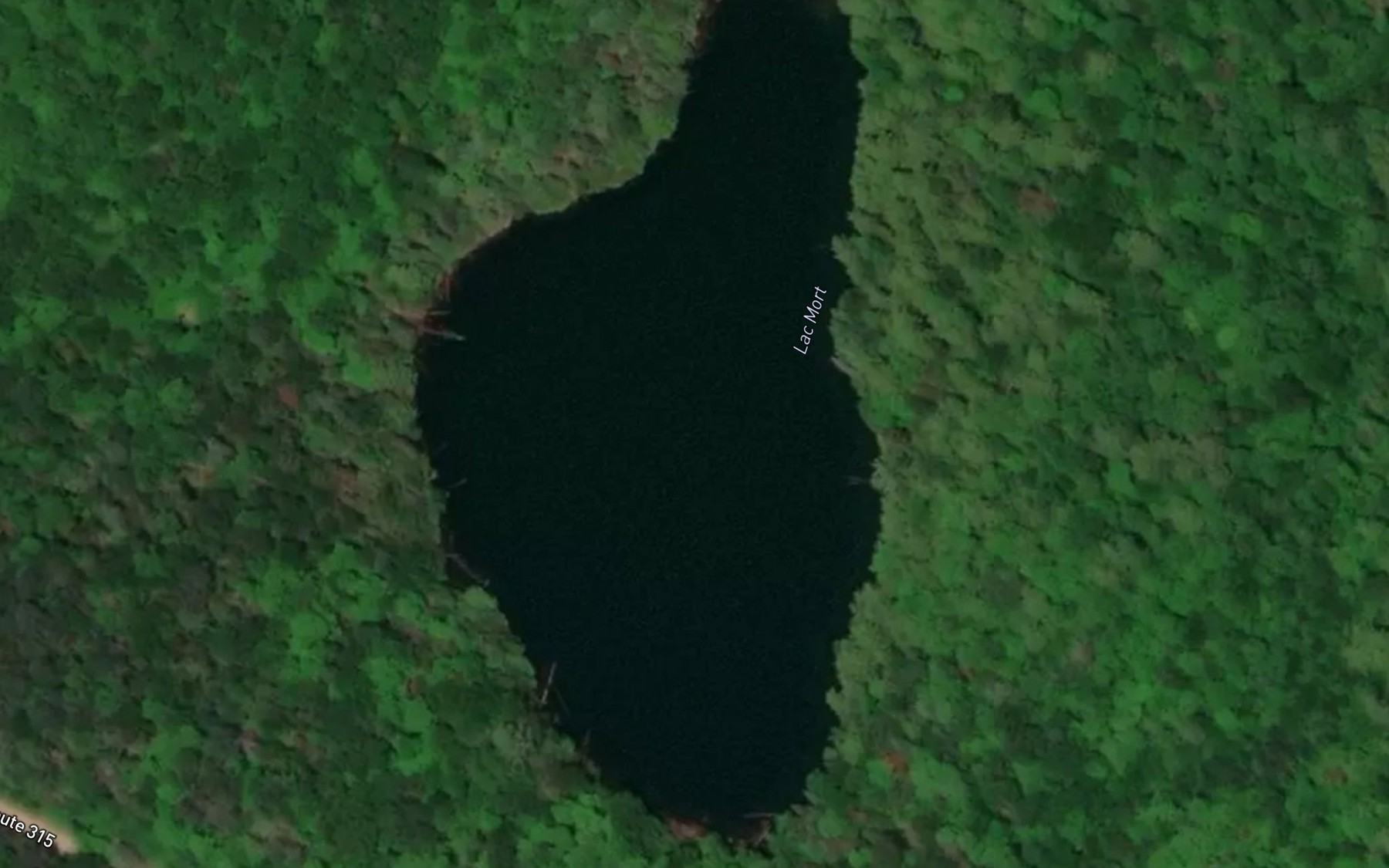 Satellite map of the Lac Mort