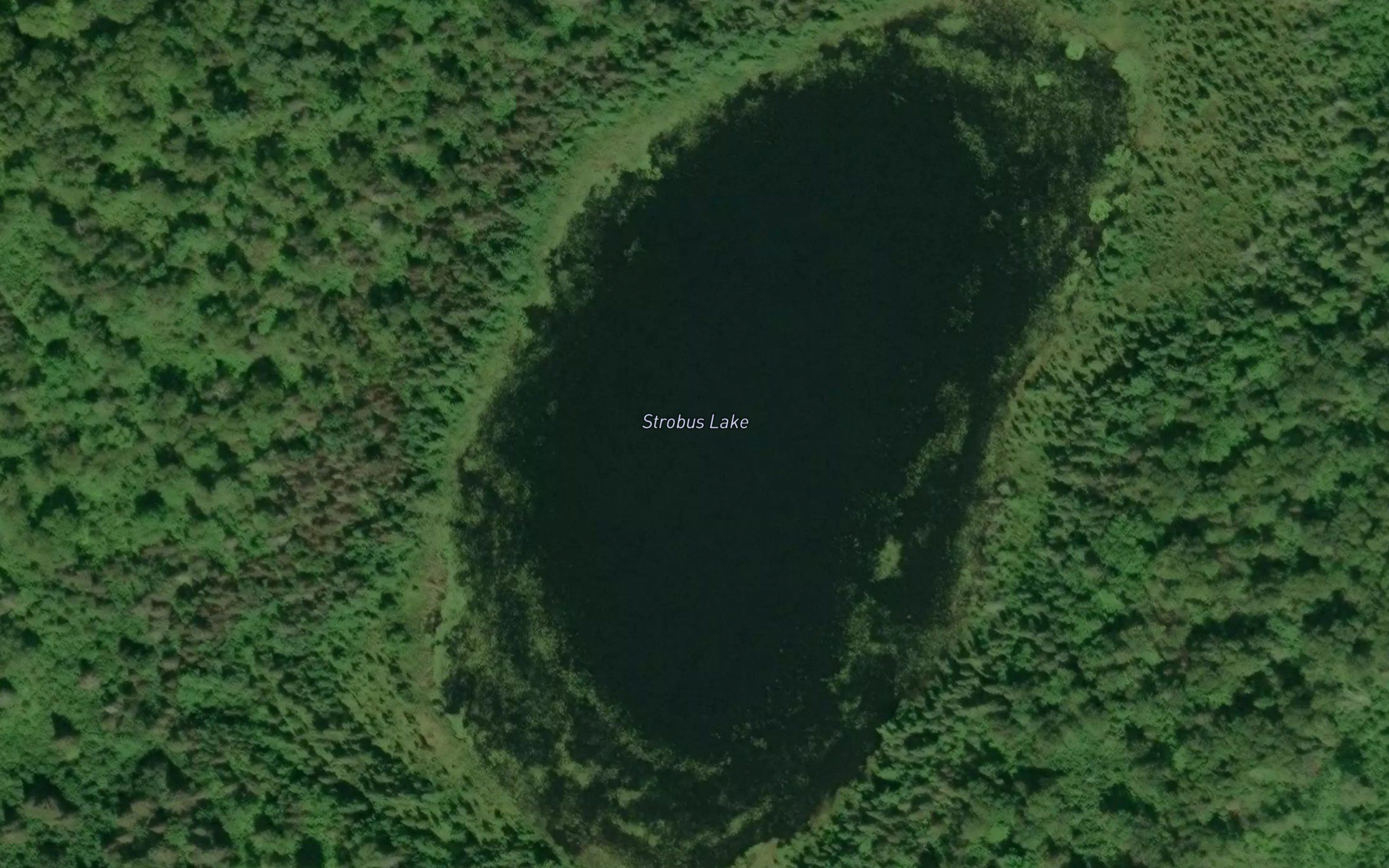 Strobus Lake