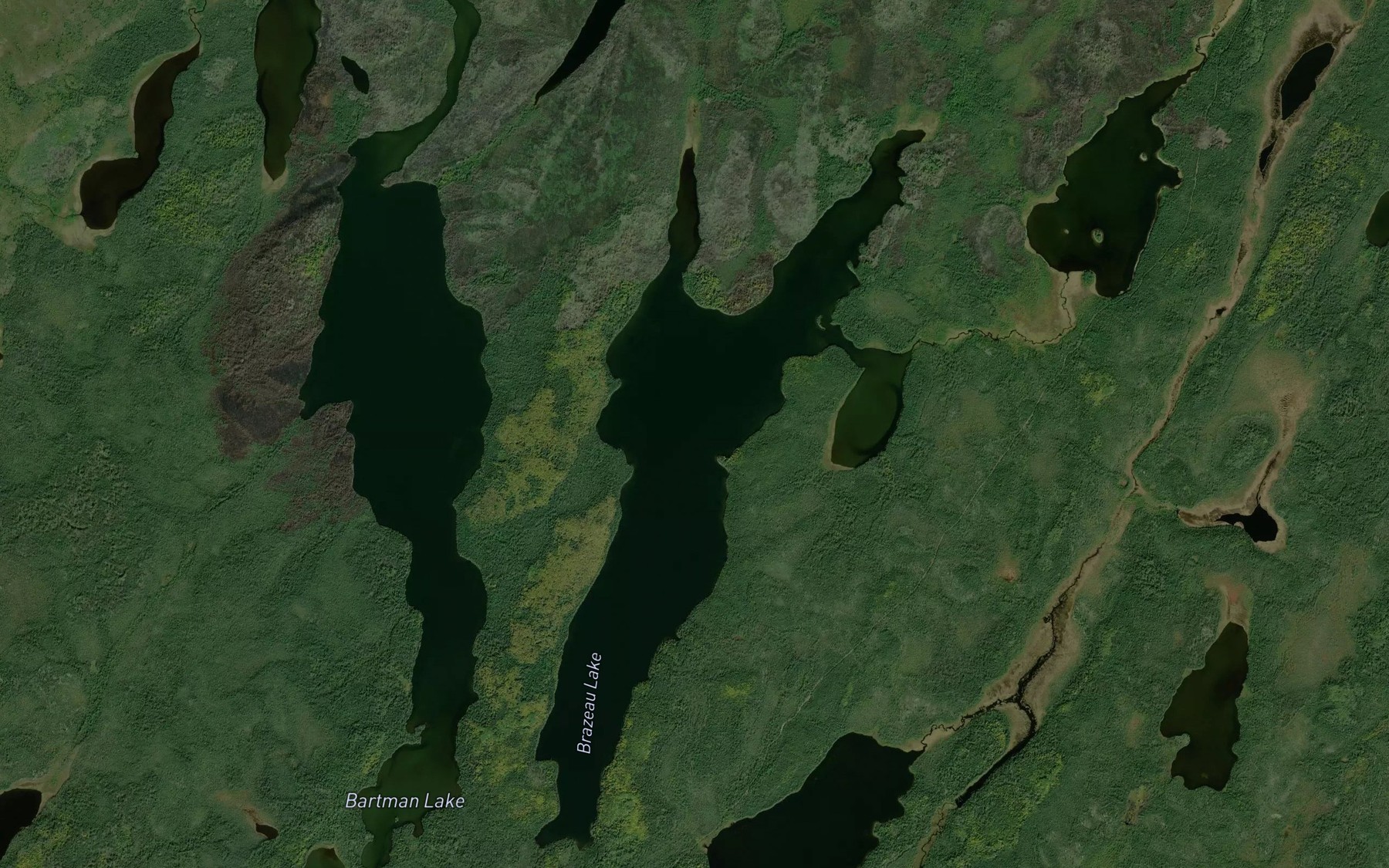 Satellite map of the Brazeau Lake