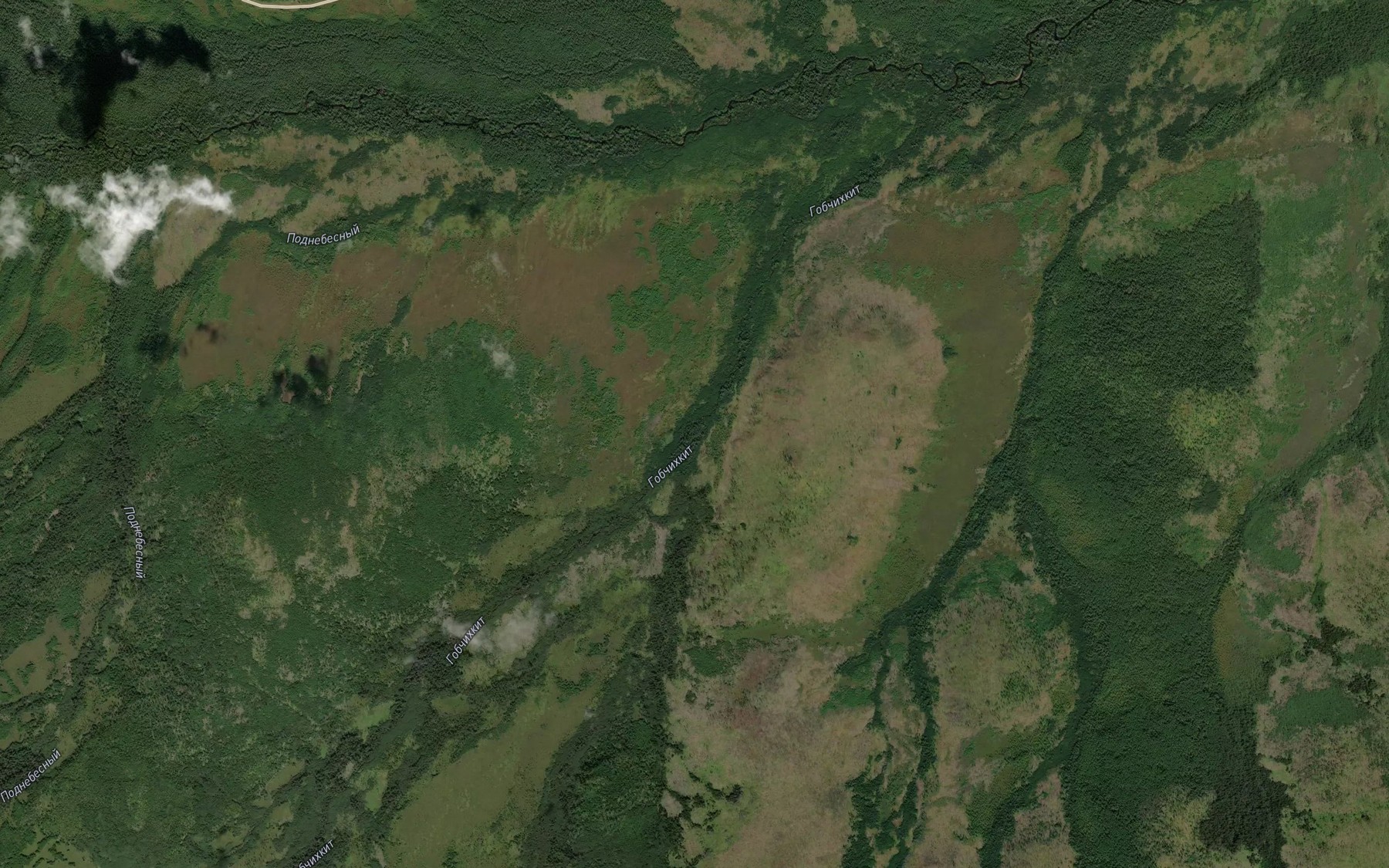 Satellite map of the Gniloy
