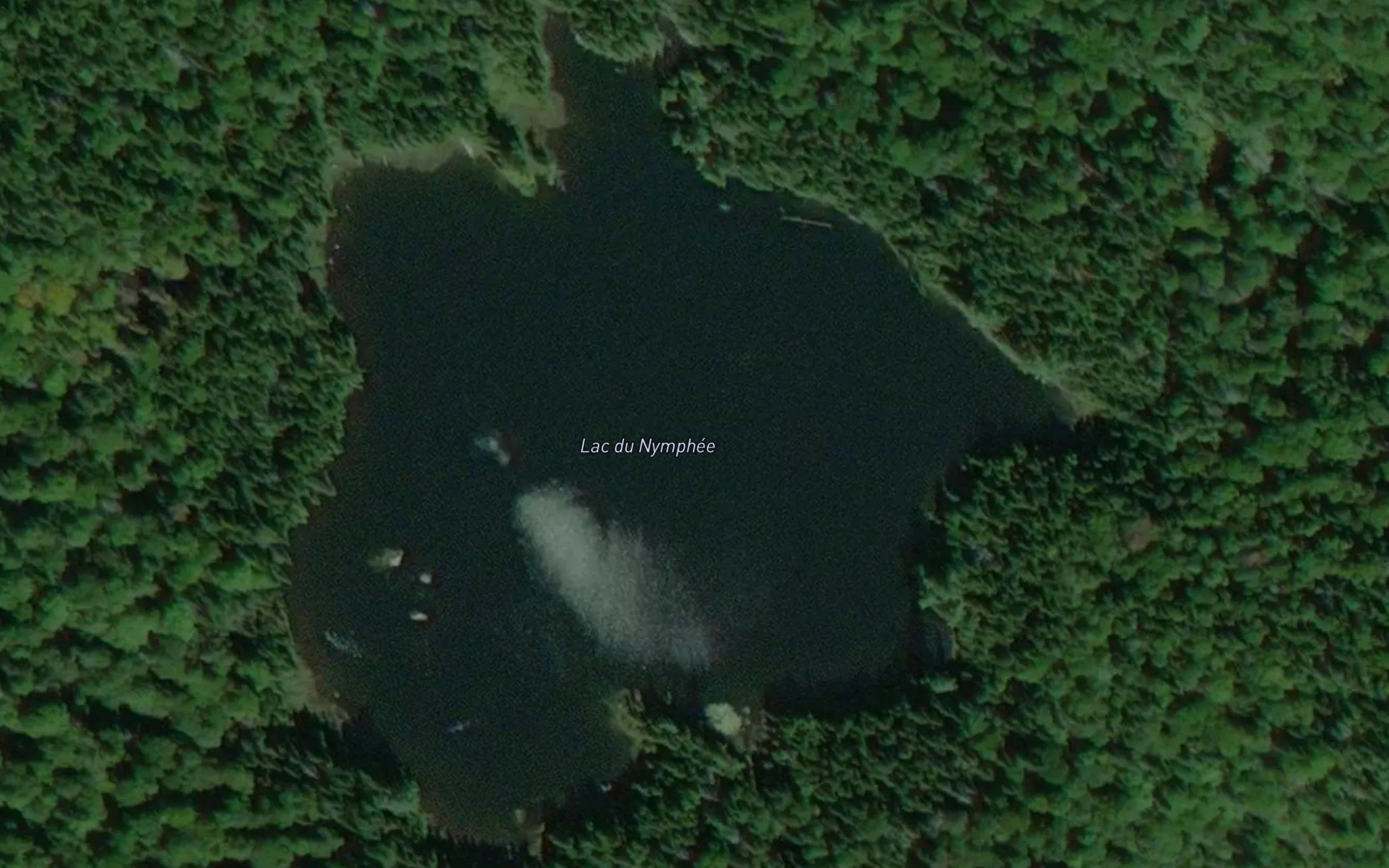 Lac du Nymphee