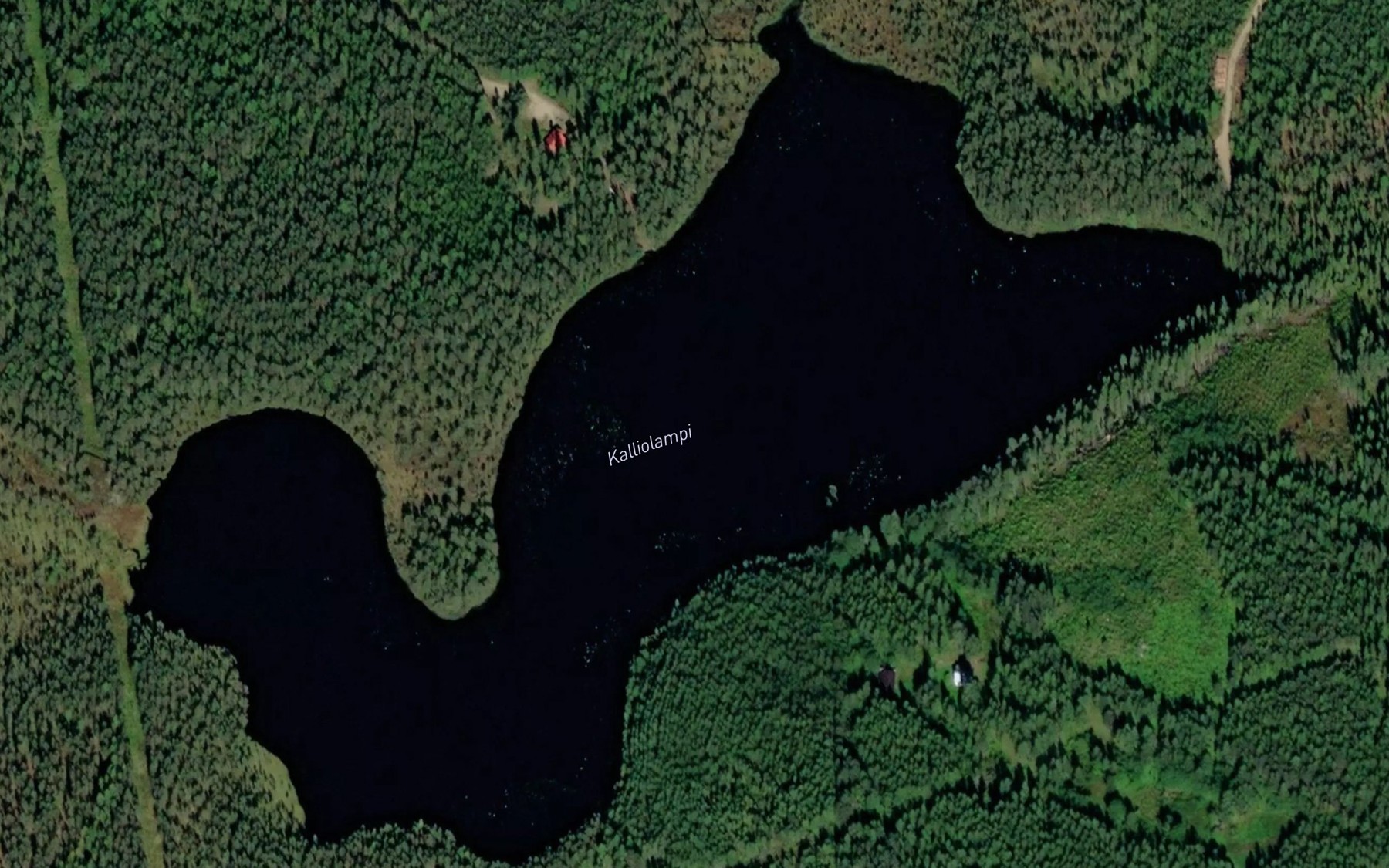 Satellite map of the Kalliolampi