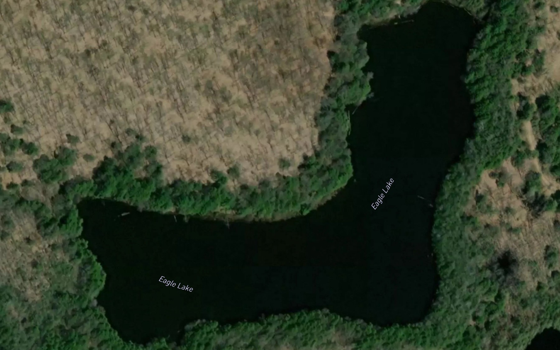 Satellite map of the Eagle Lake