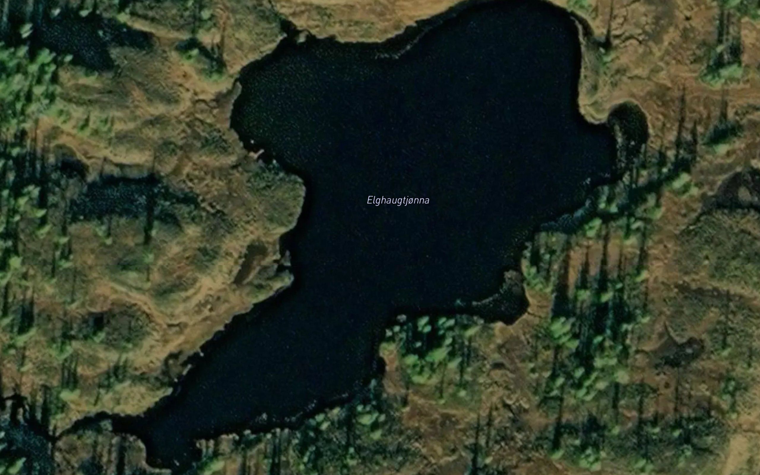 Elghaugtjonna