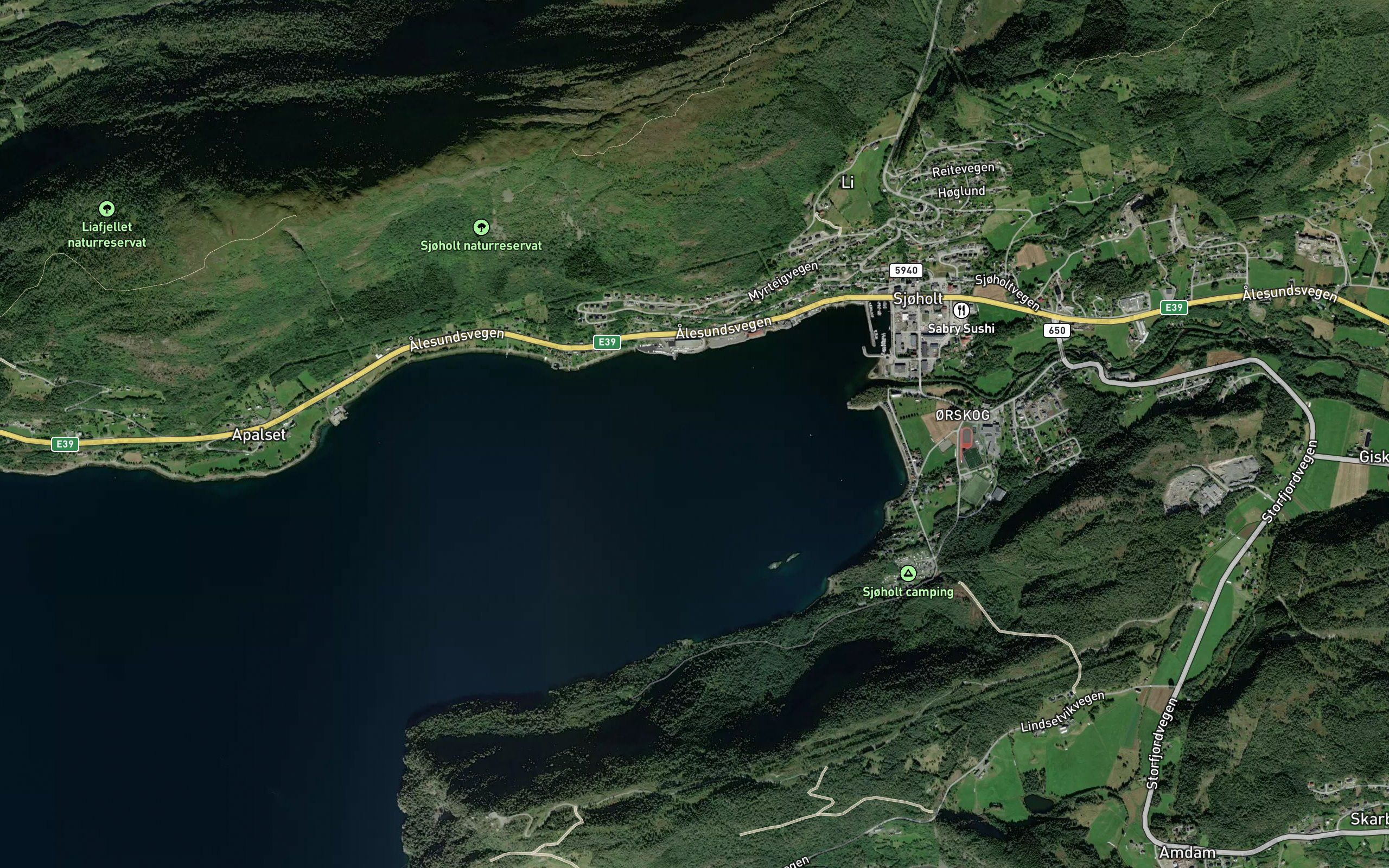 Orskogvika