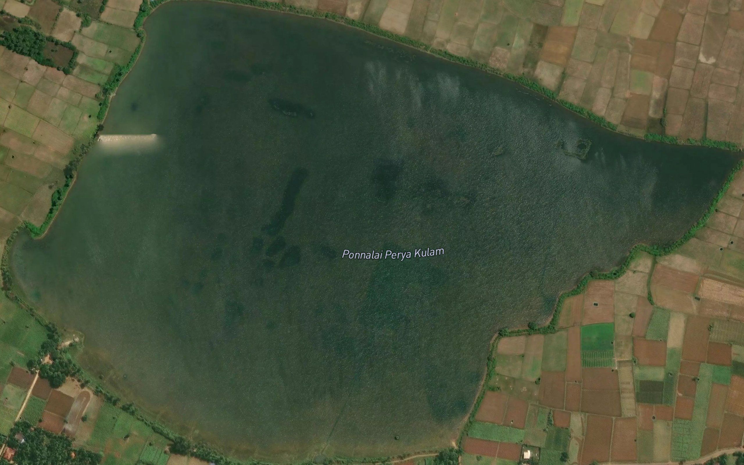 Punnalai Kulam