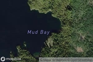 Mud Bay