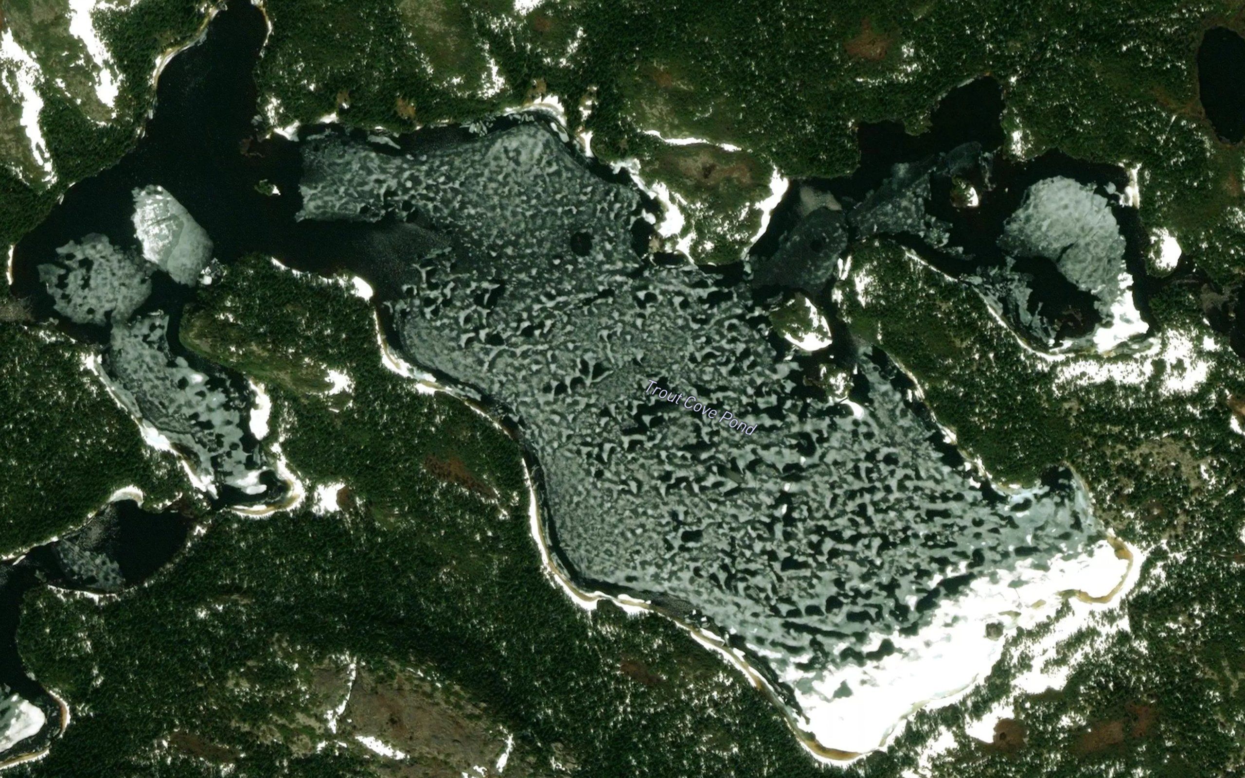 Trout Cove Pond