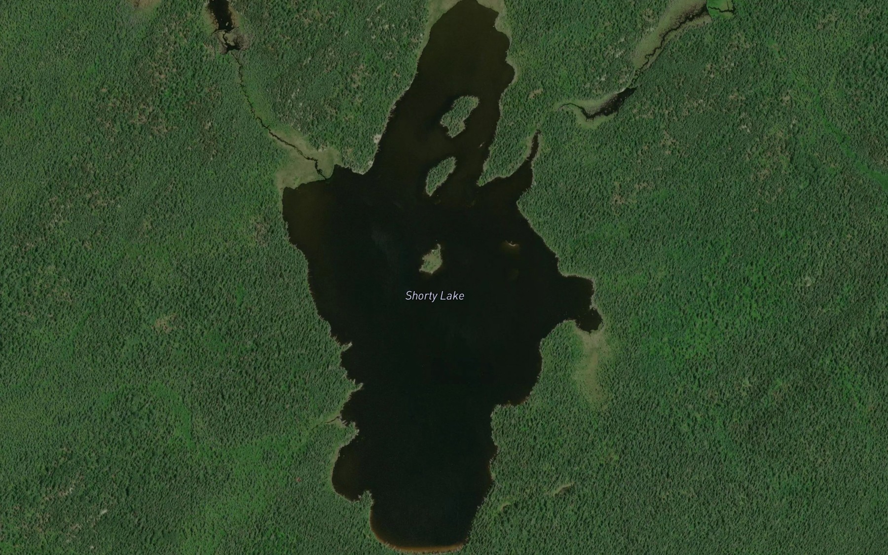 Satellite map of the Shorty Lake