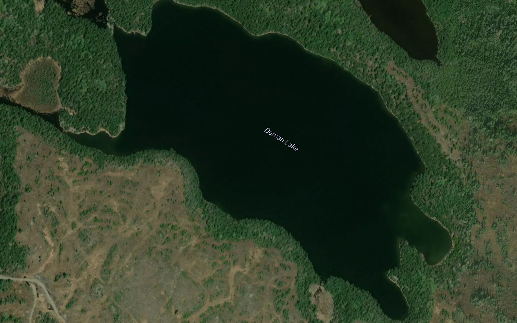 Satellite map of the Doman Lake