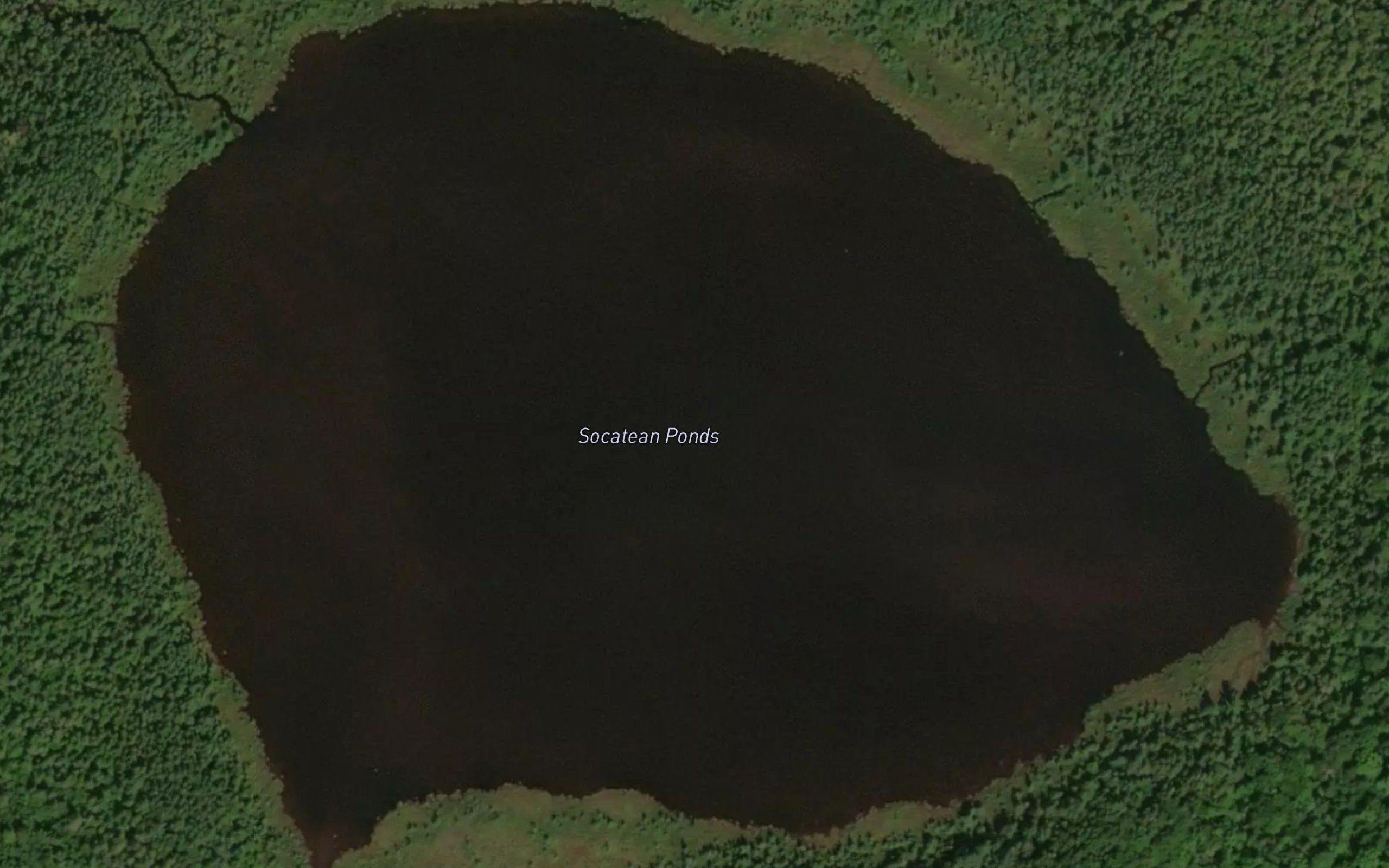 Socatean Pond
