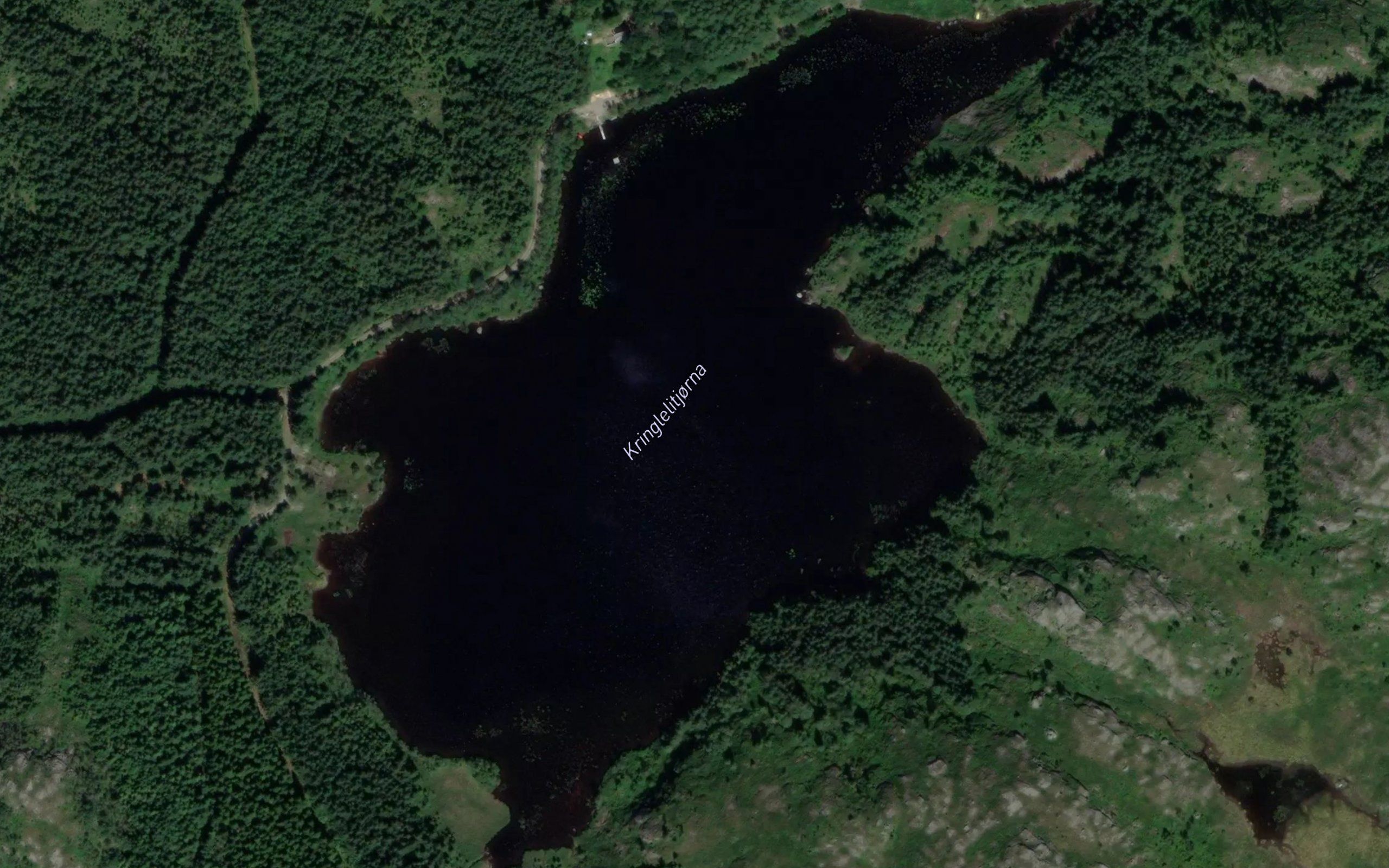 Kringlelivatn