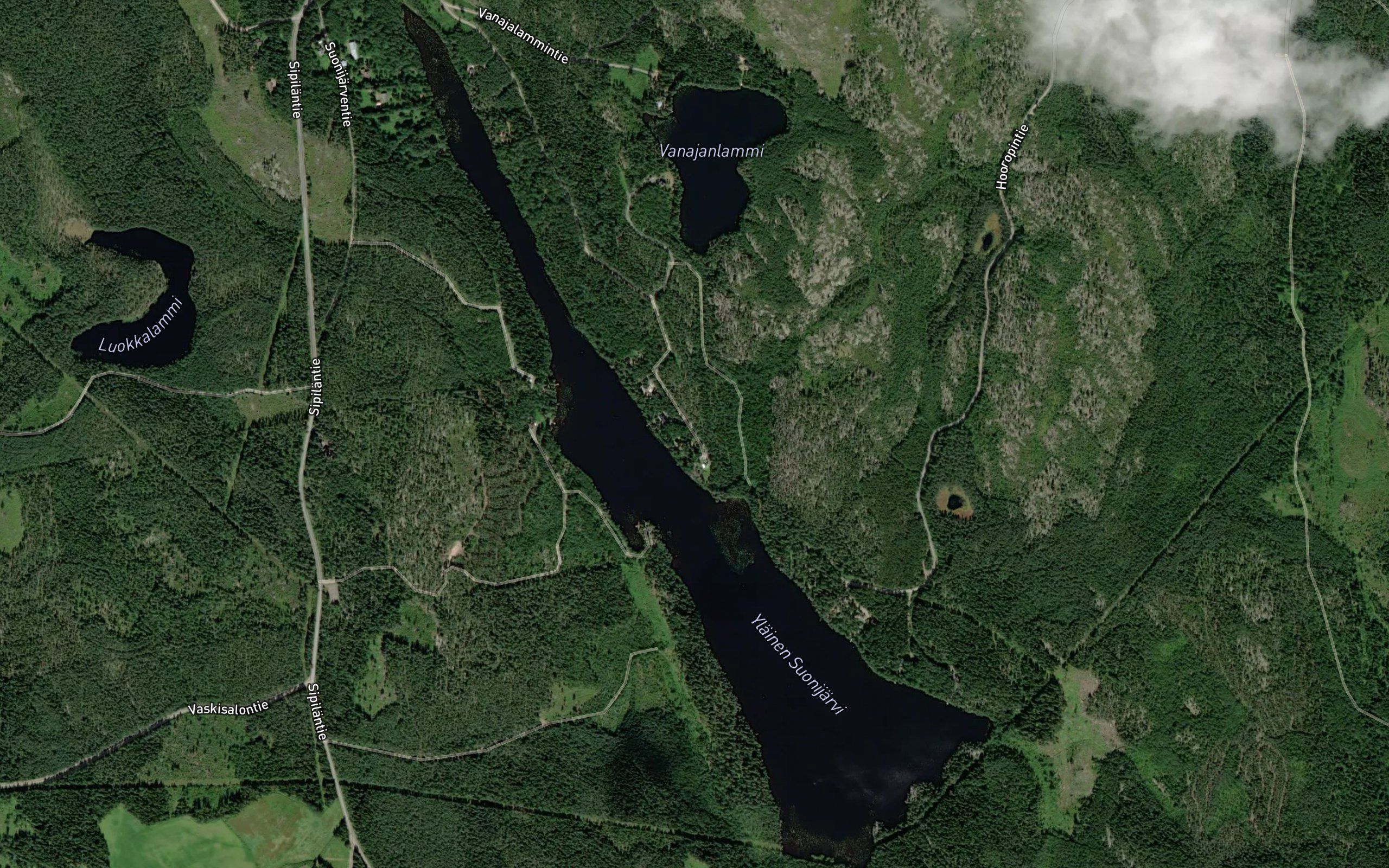 Ylainen Suonijarvi