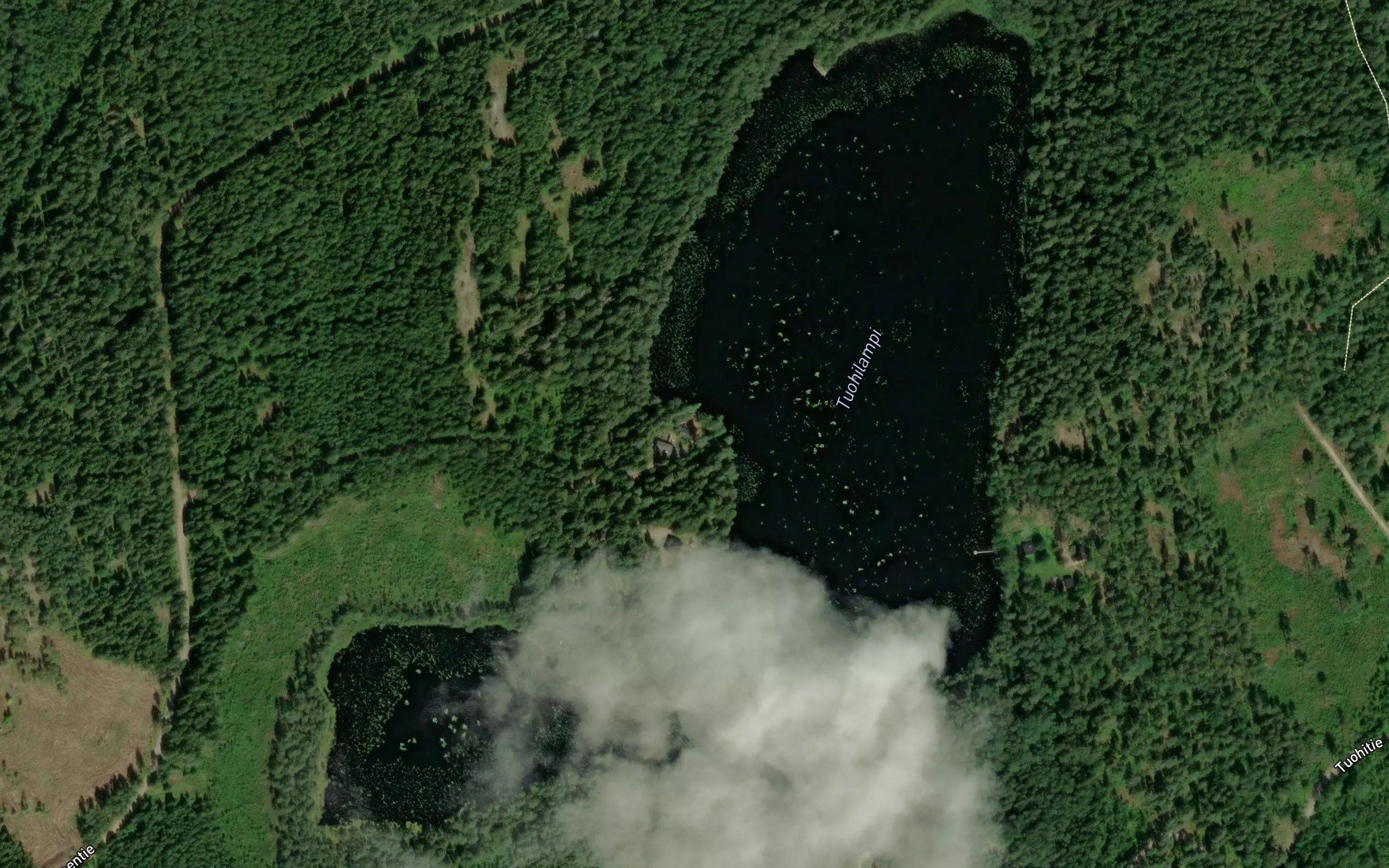 Tuohilampi