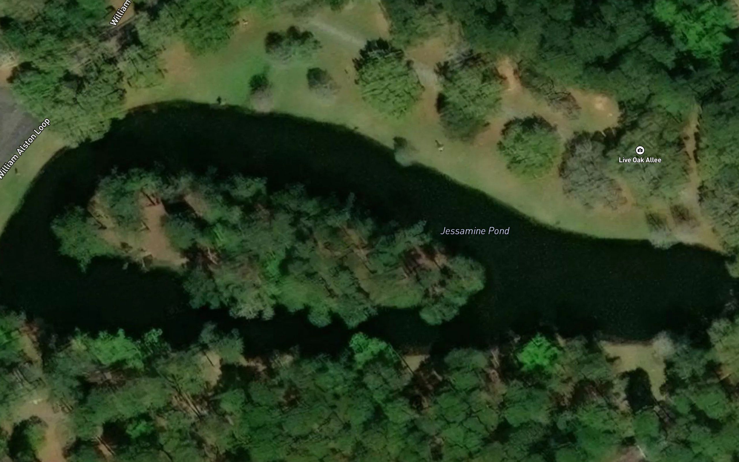 Jessamine Pond