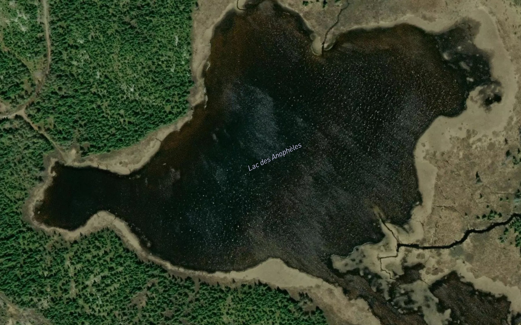 Satellite map of the Lac des Anopheles