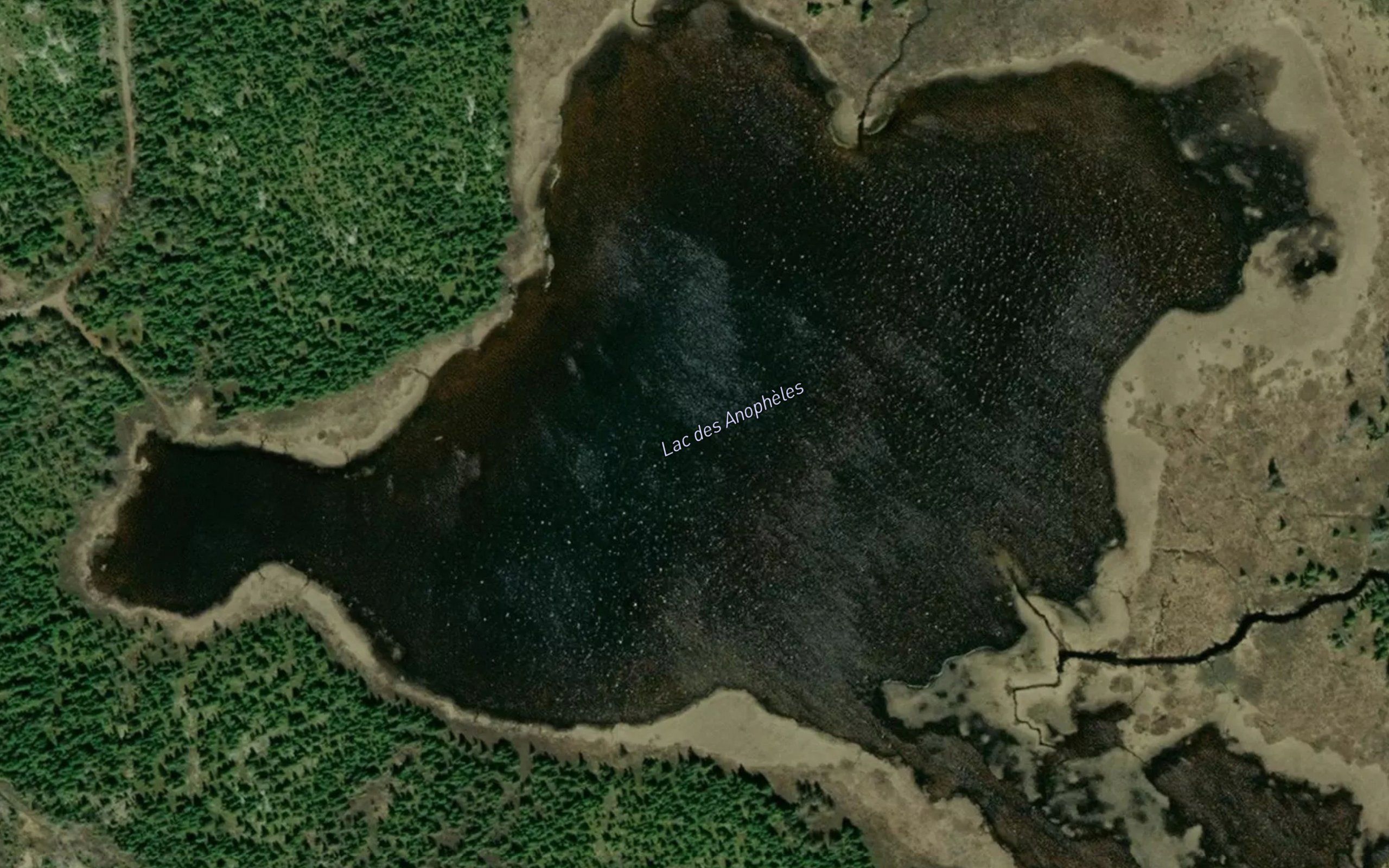 Lac des Anopheles