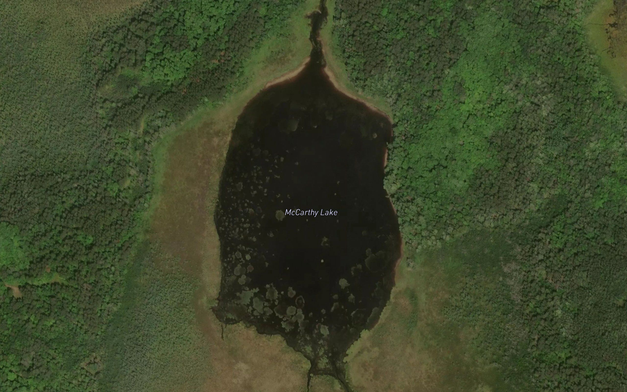 McCarthy Lake
