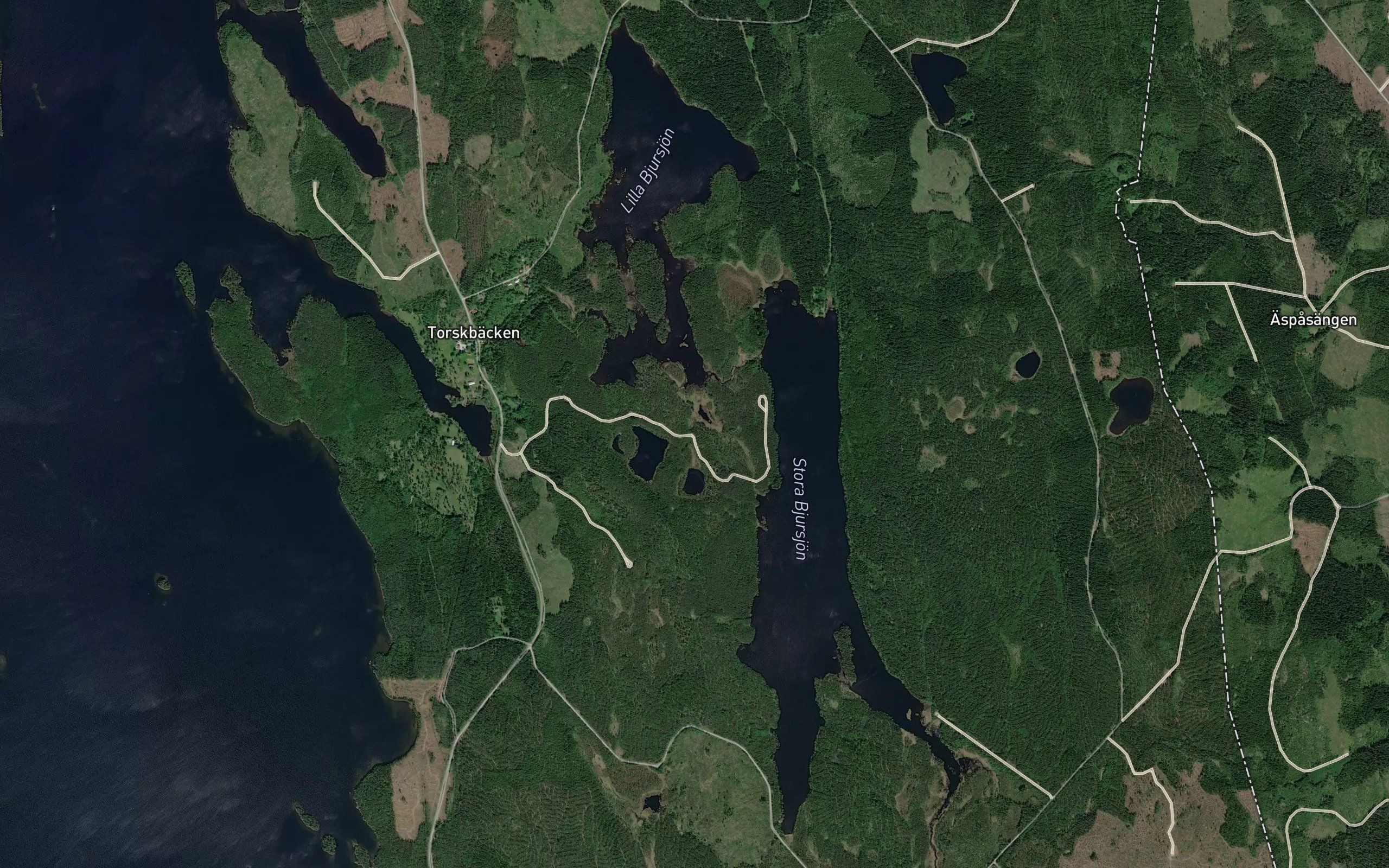 Stora Bjursjon
